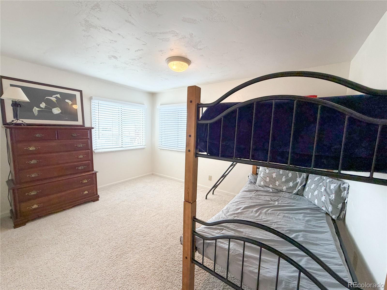 MLS Image #12 for 430 e 5th street,leadville, Colorado