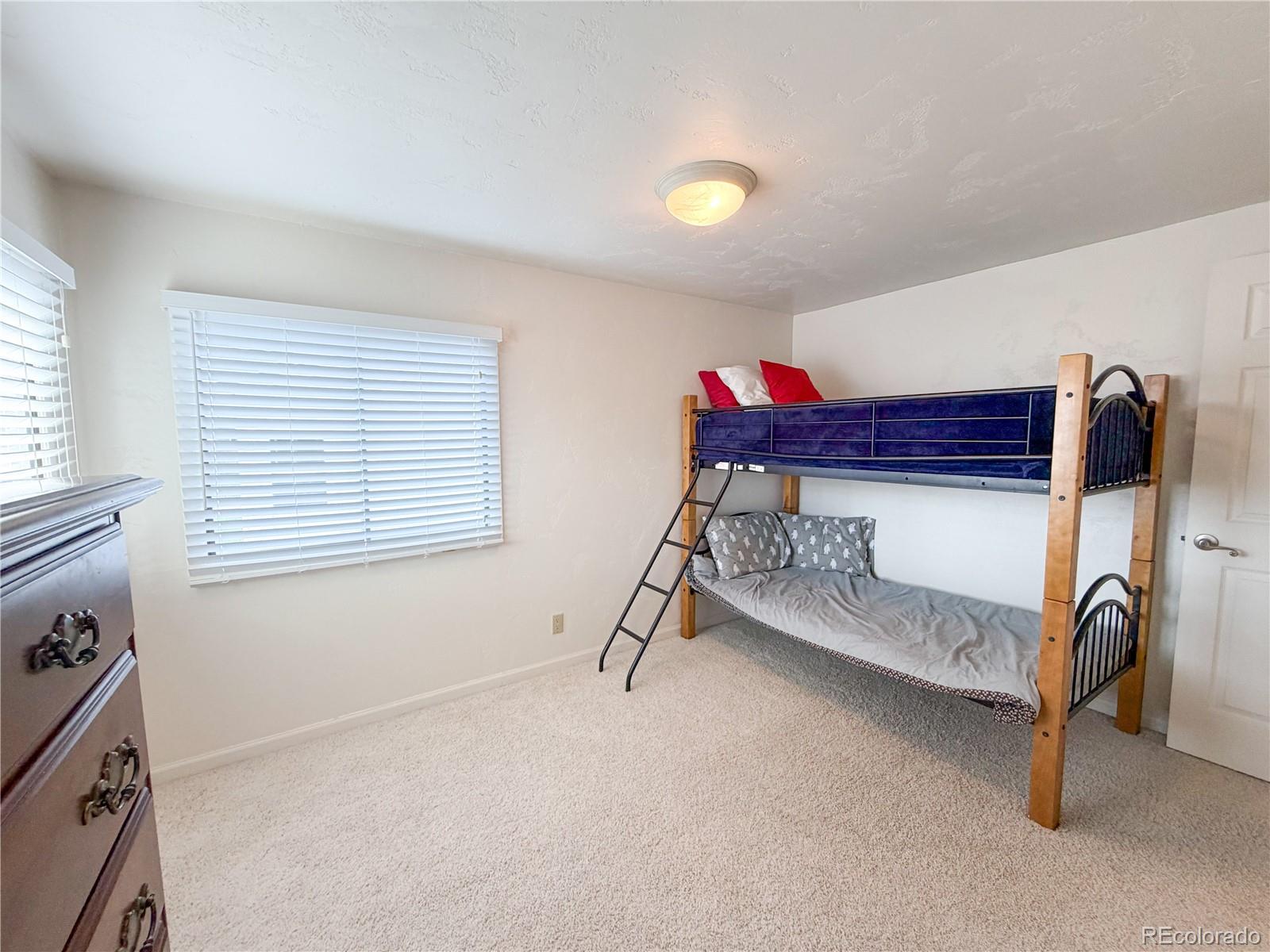 MLS Image #13 for 430 e 5th street,leadville, Colorado
