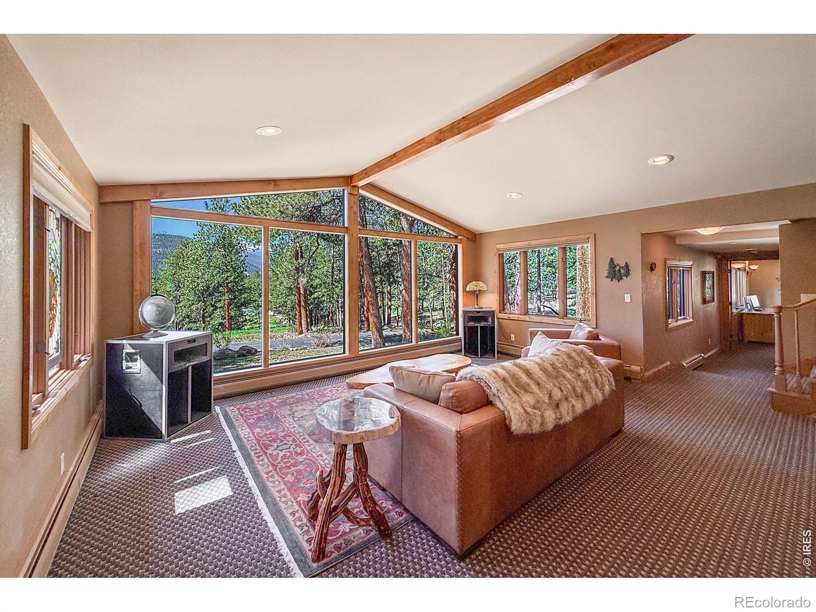 MLS Image #11 for 850  east lane,estes park, Colorado