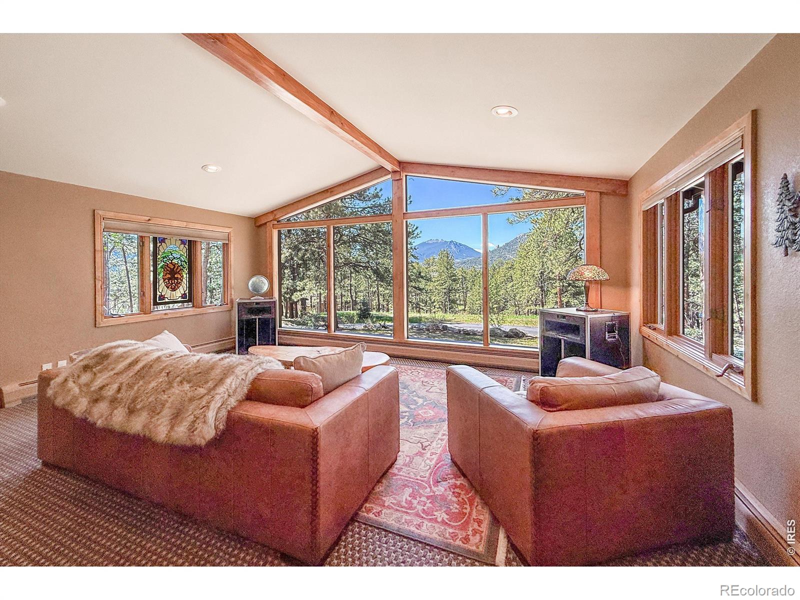 MLS Image #13 for 850  east lane,estes park, Colorado