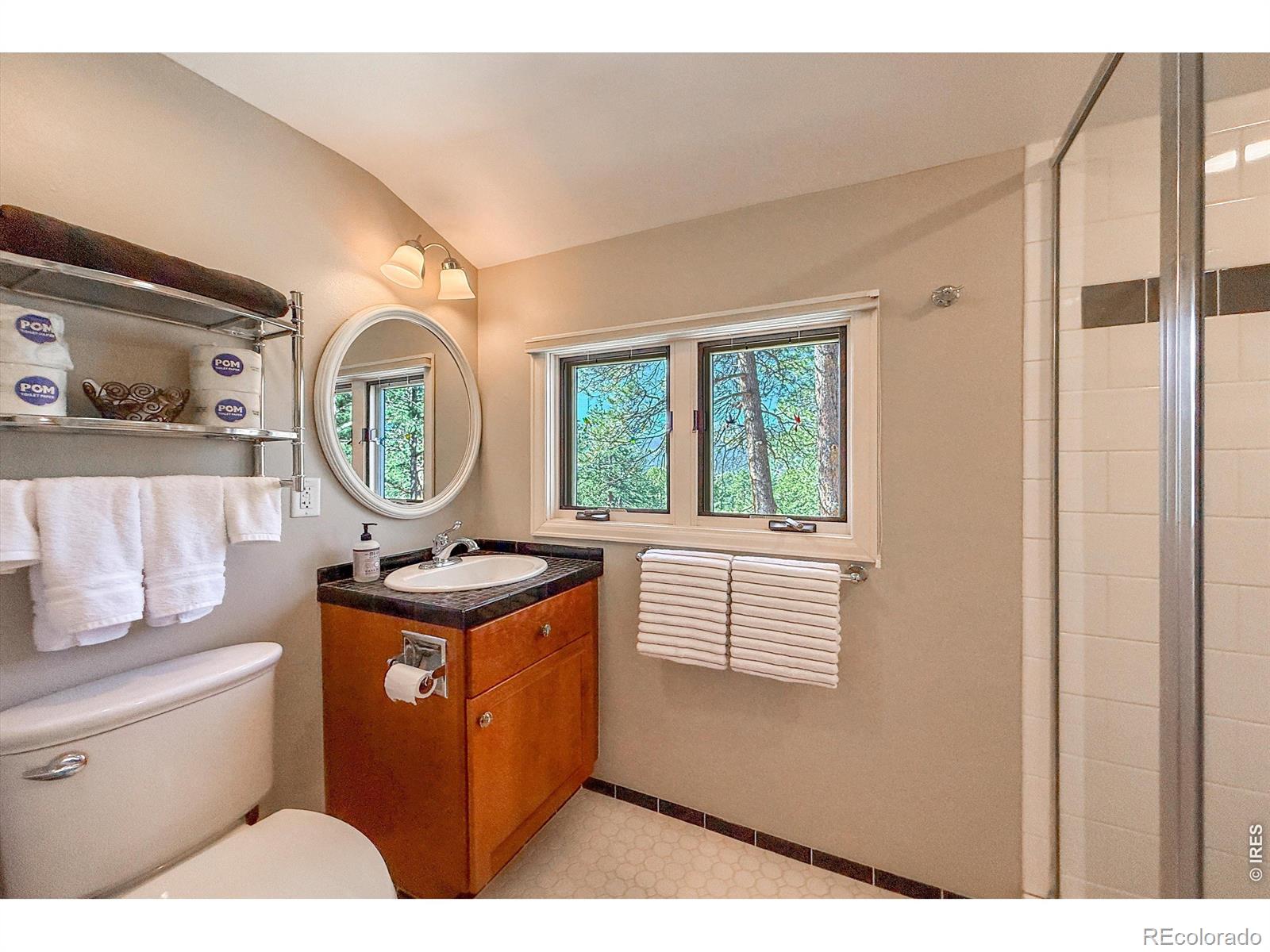 MLS Image #38 for 850  east lane,estes park, Colorado