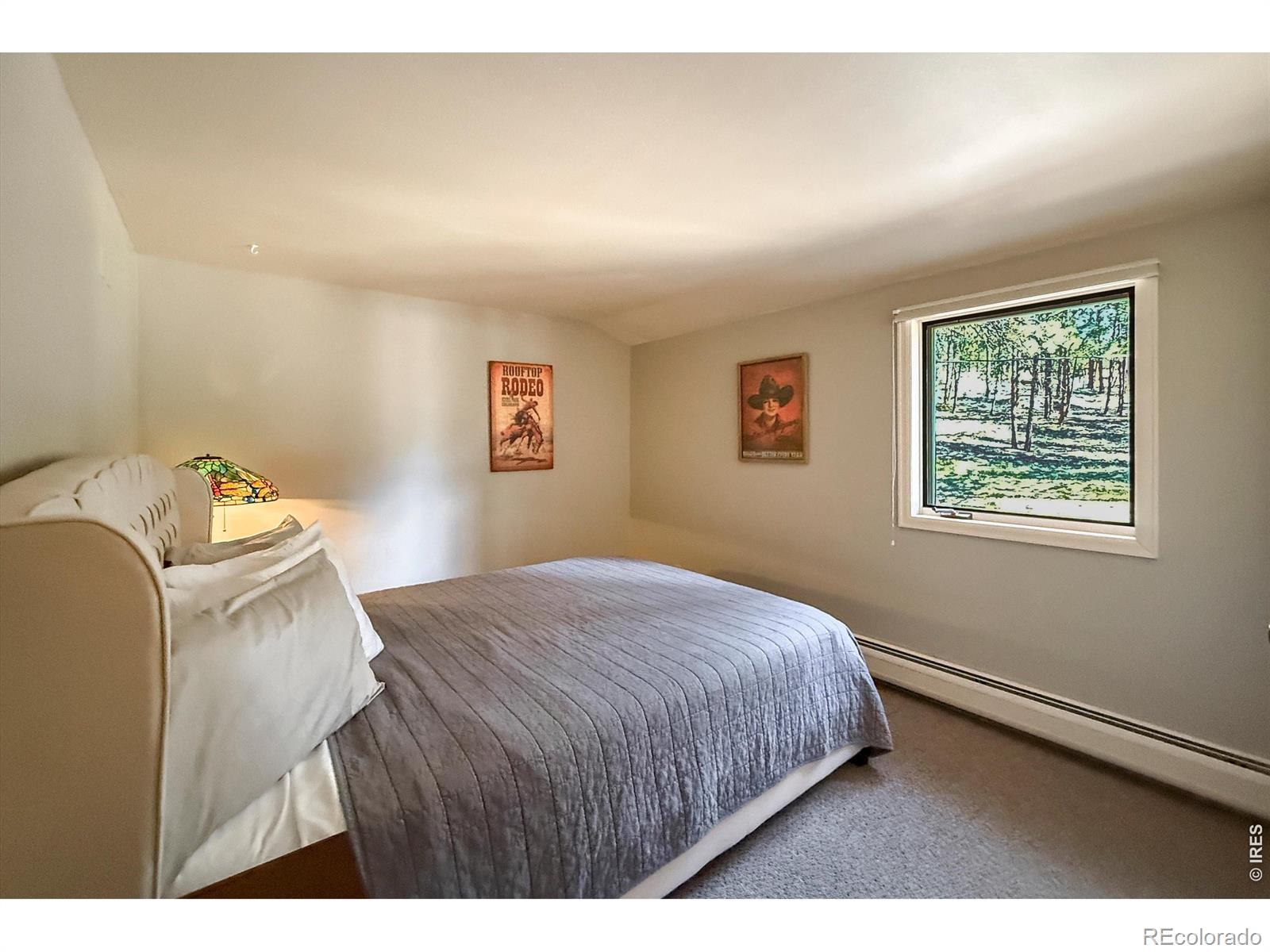 MLS Image #39 for 850  east lane,estes park, Colorado