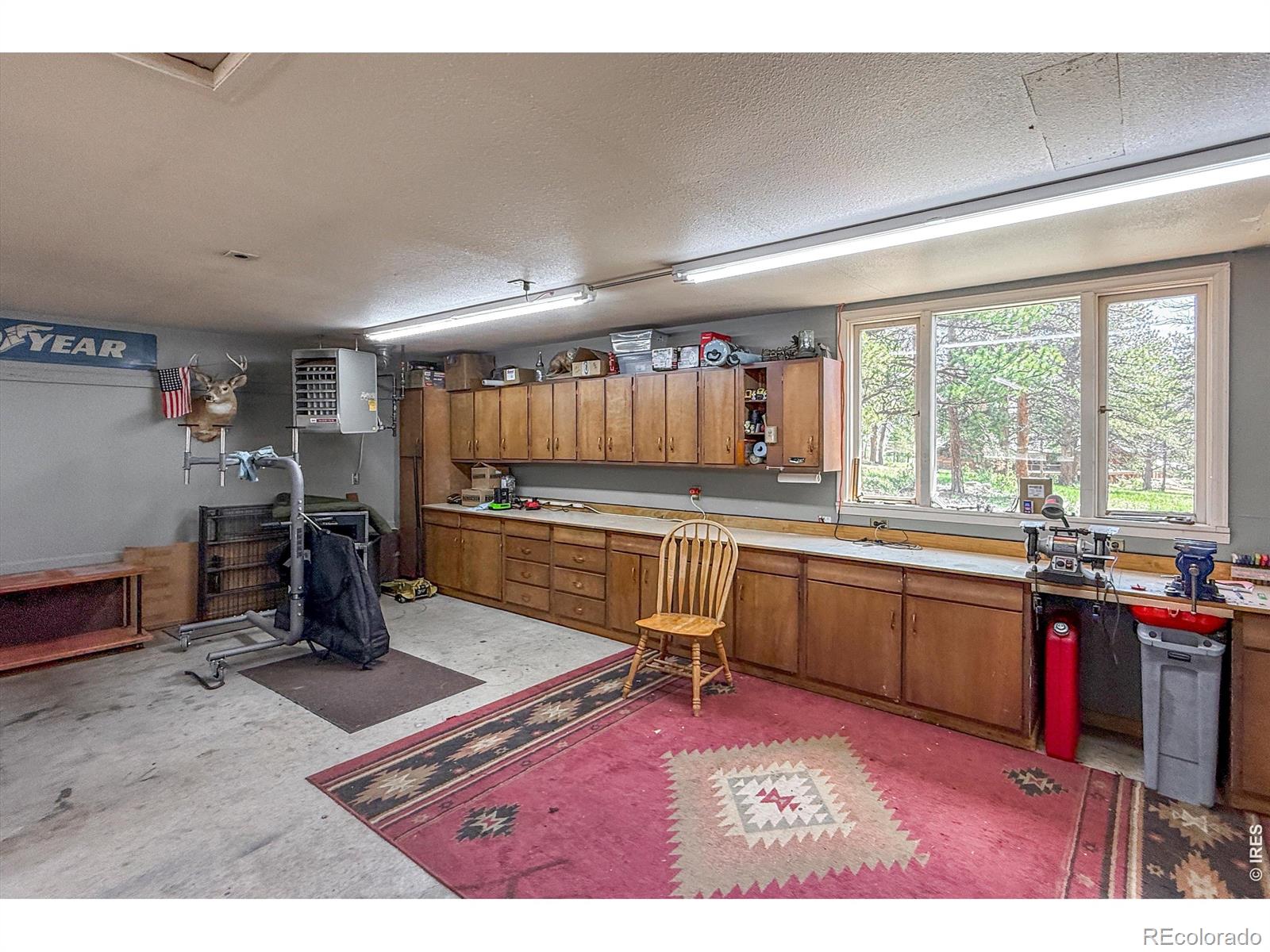 MLS Image #47 for 850  east lane,estes park, Colorado
