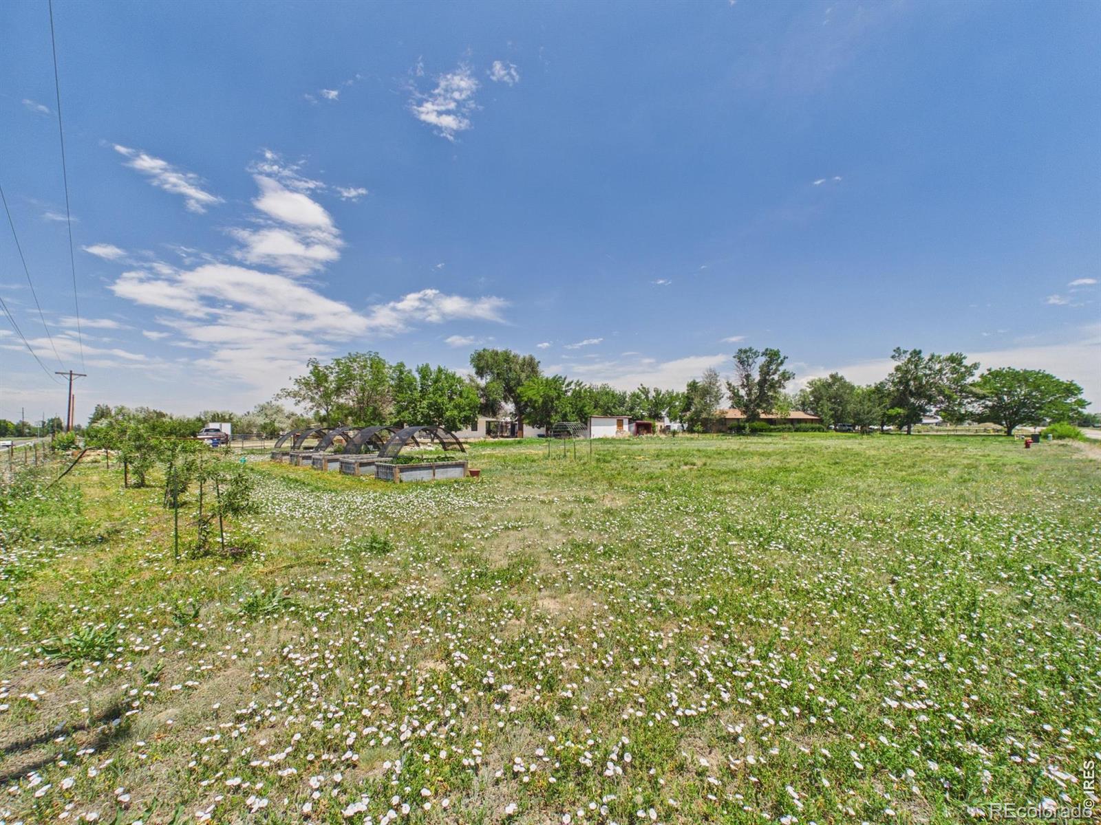 MLS Image #32 for 8042  silver birch boulevard,frederick, Colorado