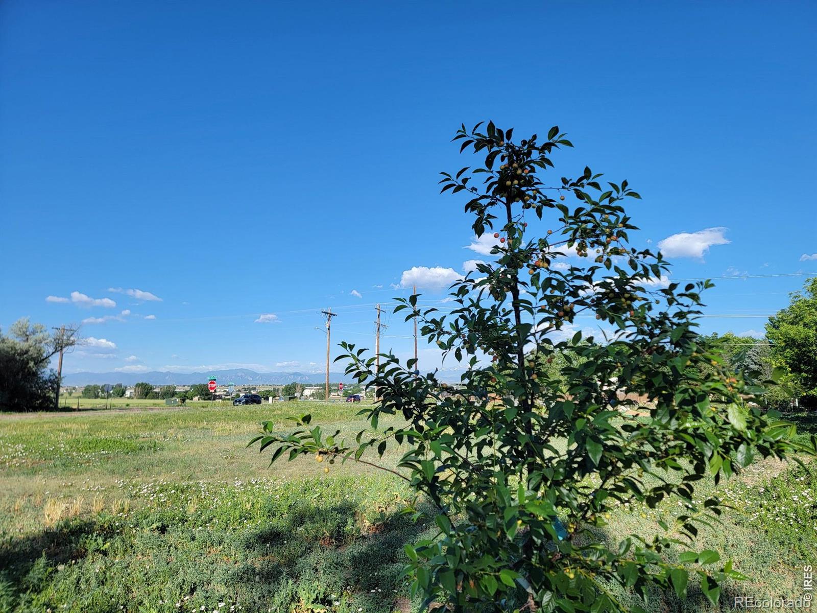 MLS Image #34 for 8042  silver birch boulevard,frederick, Colorado