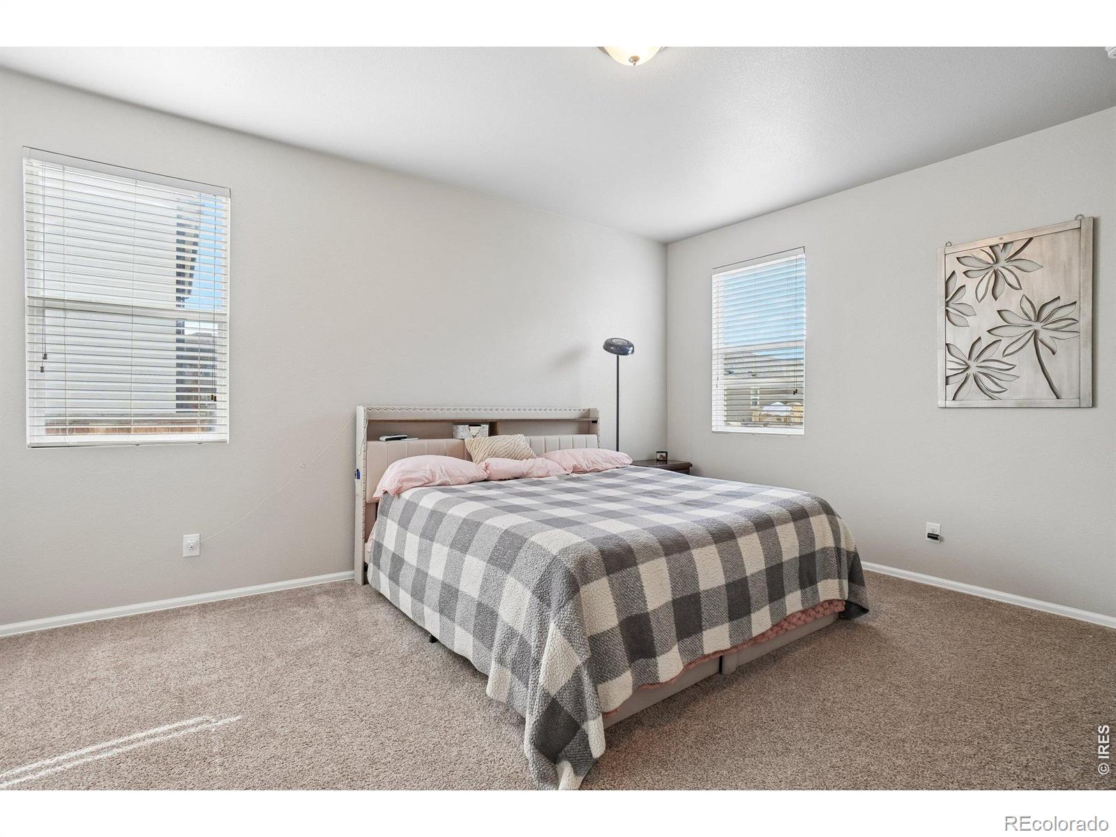 MLS Image #11 for 3622  torch lily street,wellington, Colorado