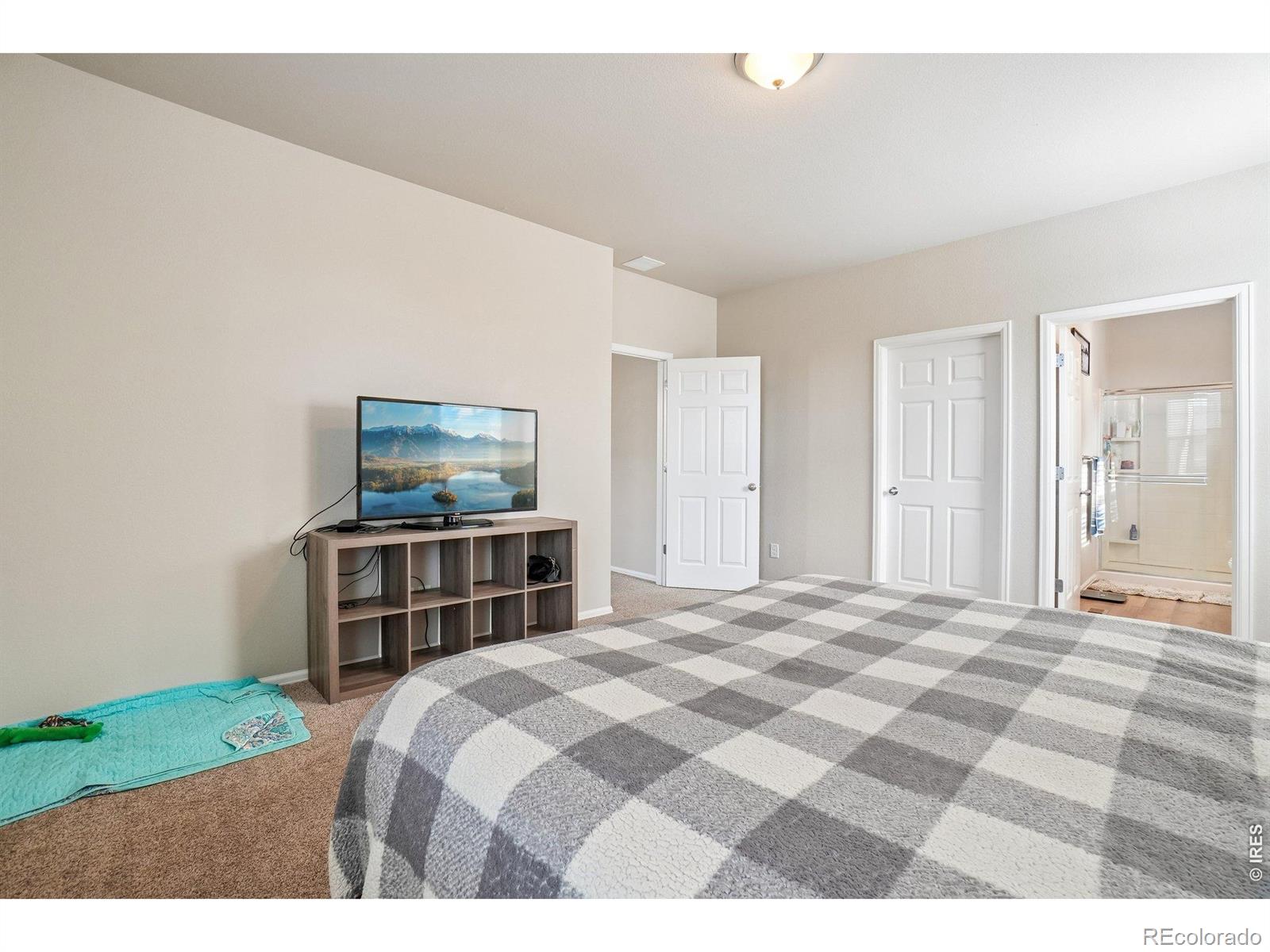 MLS Image #13 for 3622  torch lily street,wellington, Colorado