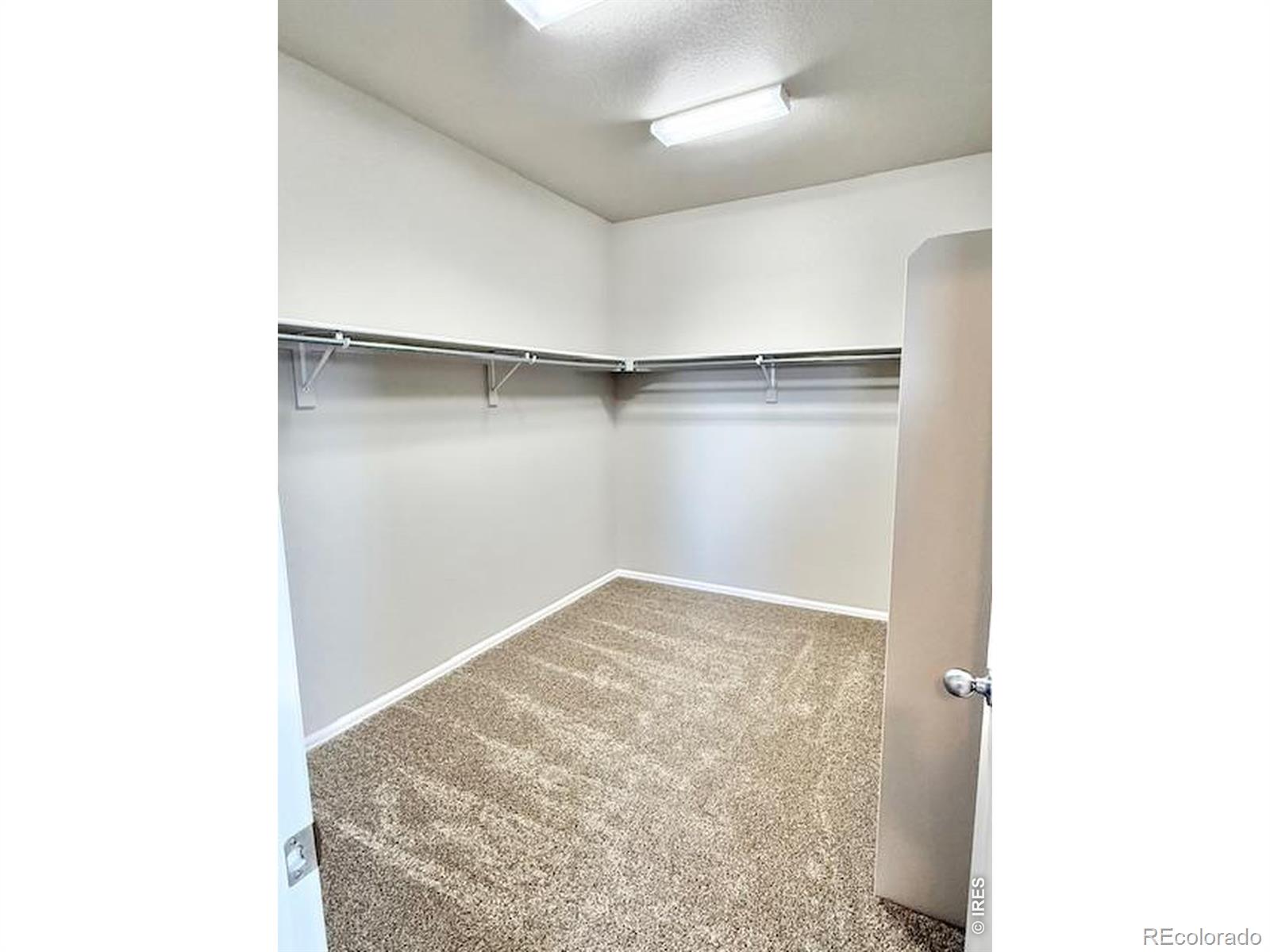 MLS Image #15 for 3622  torch lily street,wellington, Colorado