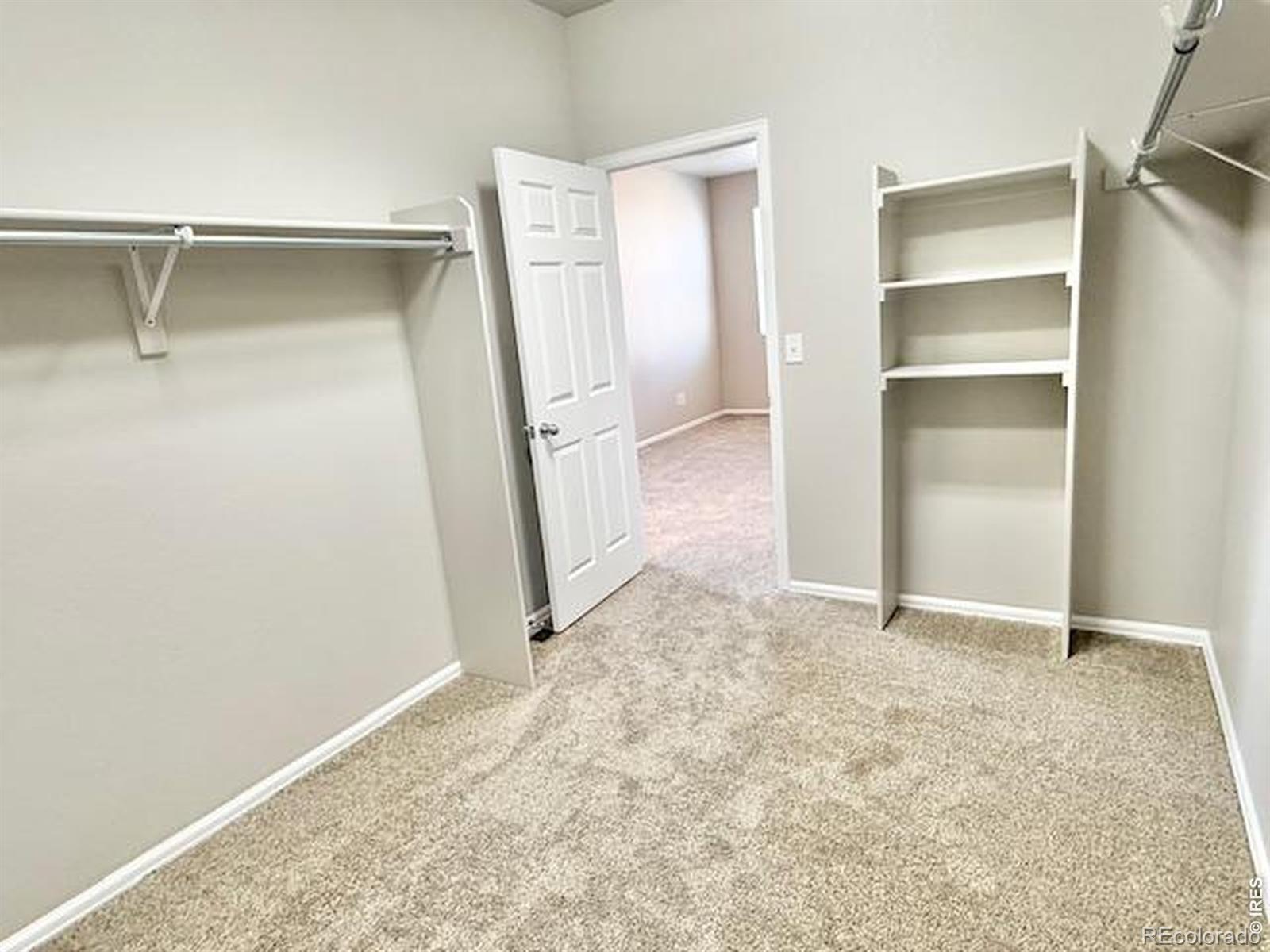 MLS Image #16 for 3622  torch lily street,wellington, Colorado