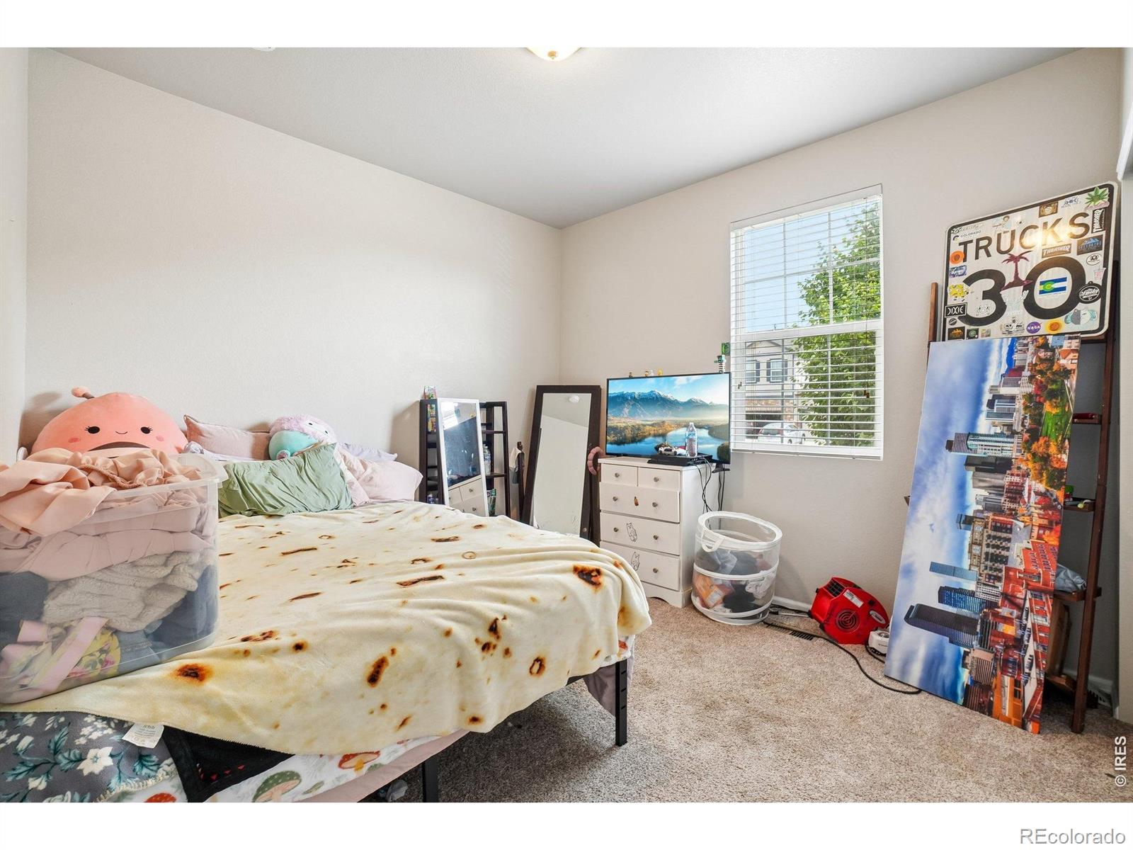 MLS Image #17 for 3622  torch lily street,wellington, Colorado