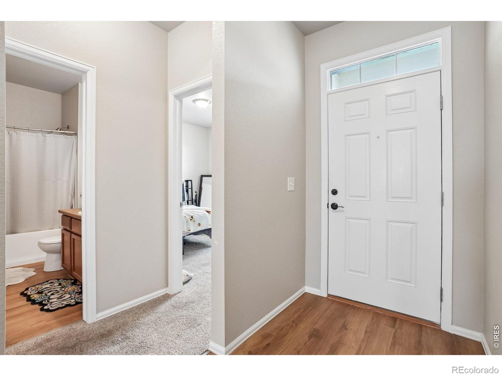 MLS Image #3 for 3622  torch lily street,wellington, Colorado
