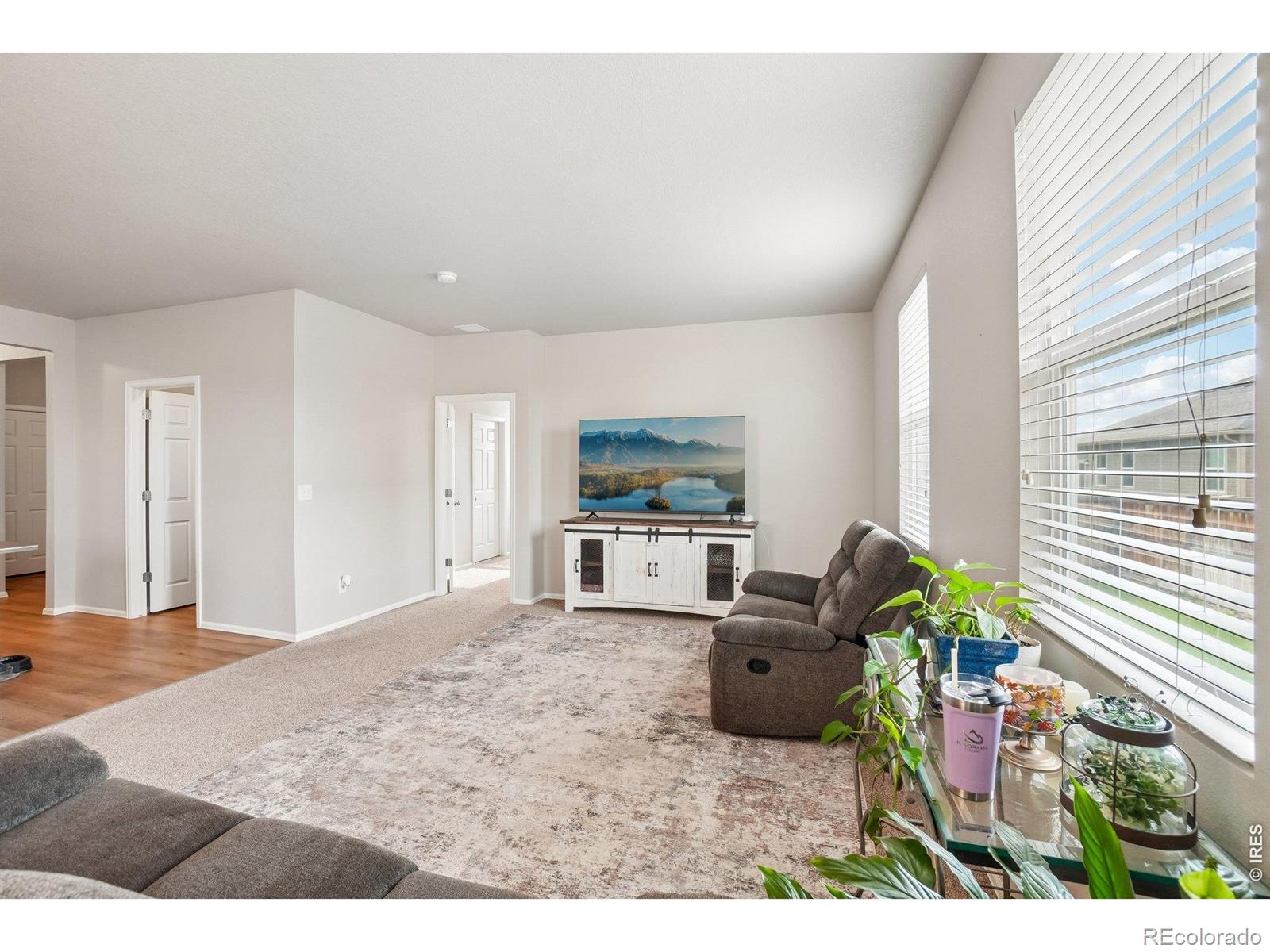 MLS Image #6 for 3622  torch lily street,wellington, Colorado