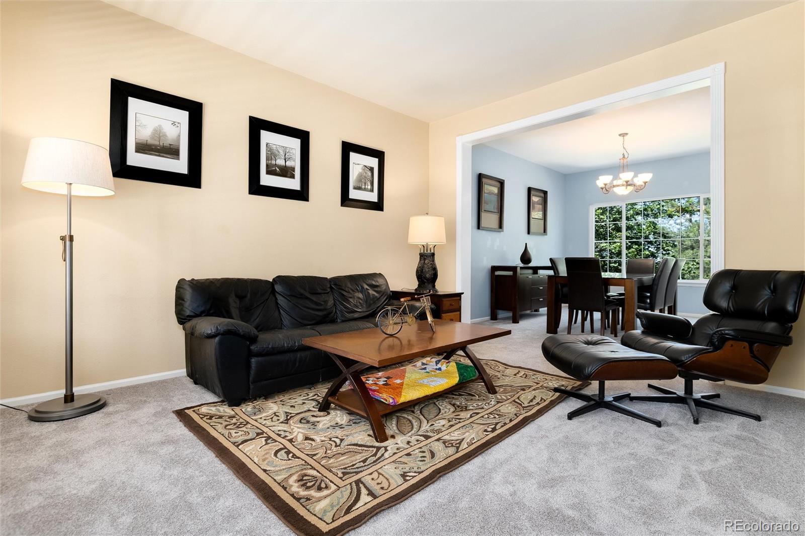 MLS Image #8 for 2073  maples place,littleton, Colorado