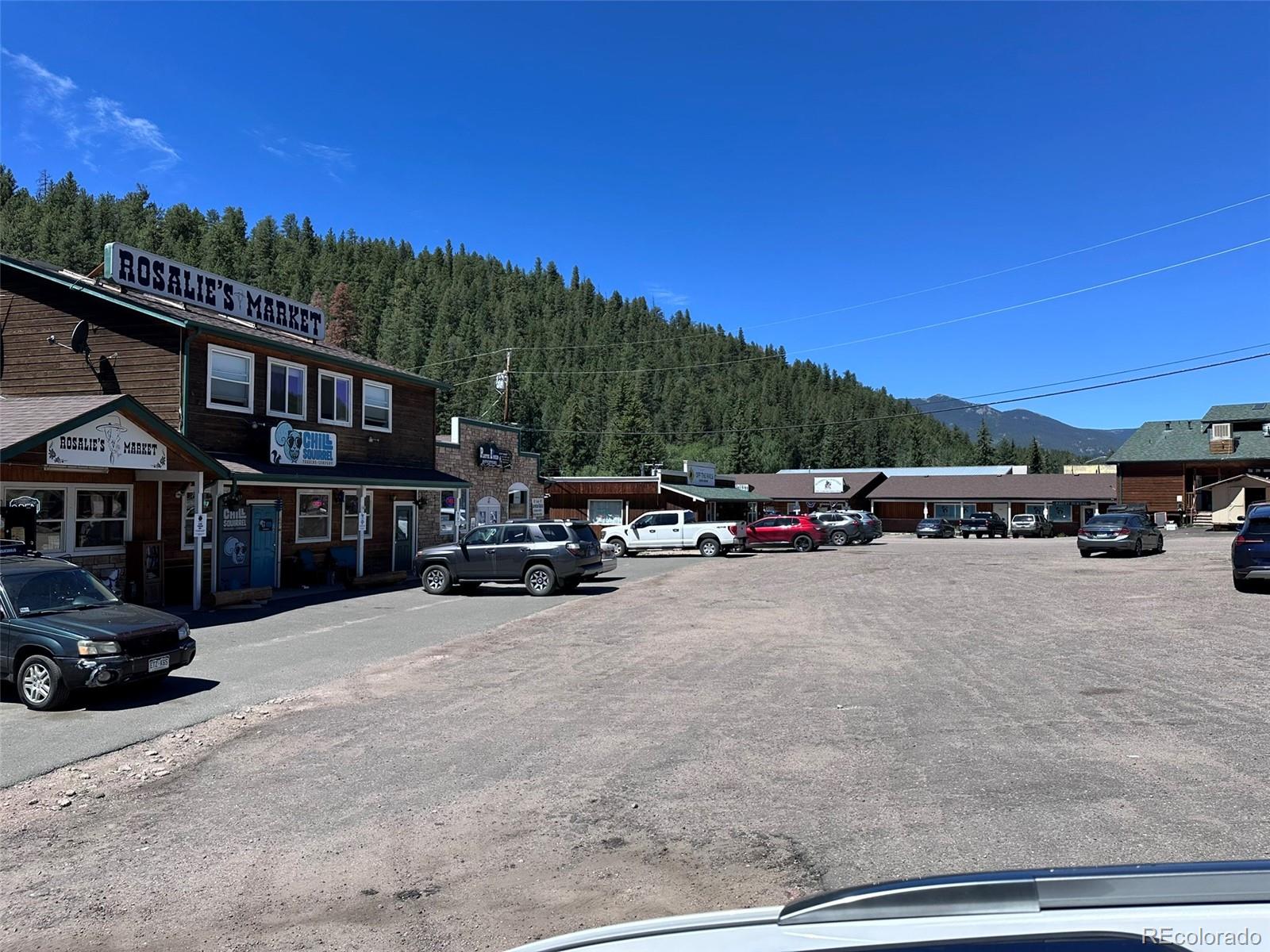 MLS Image #31 for 5720  county road 64 ,bailey, Colorado