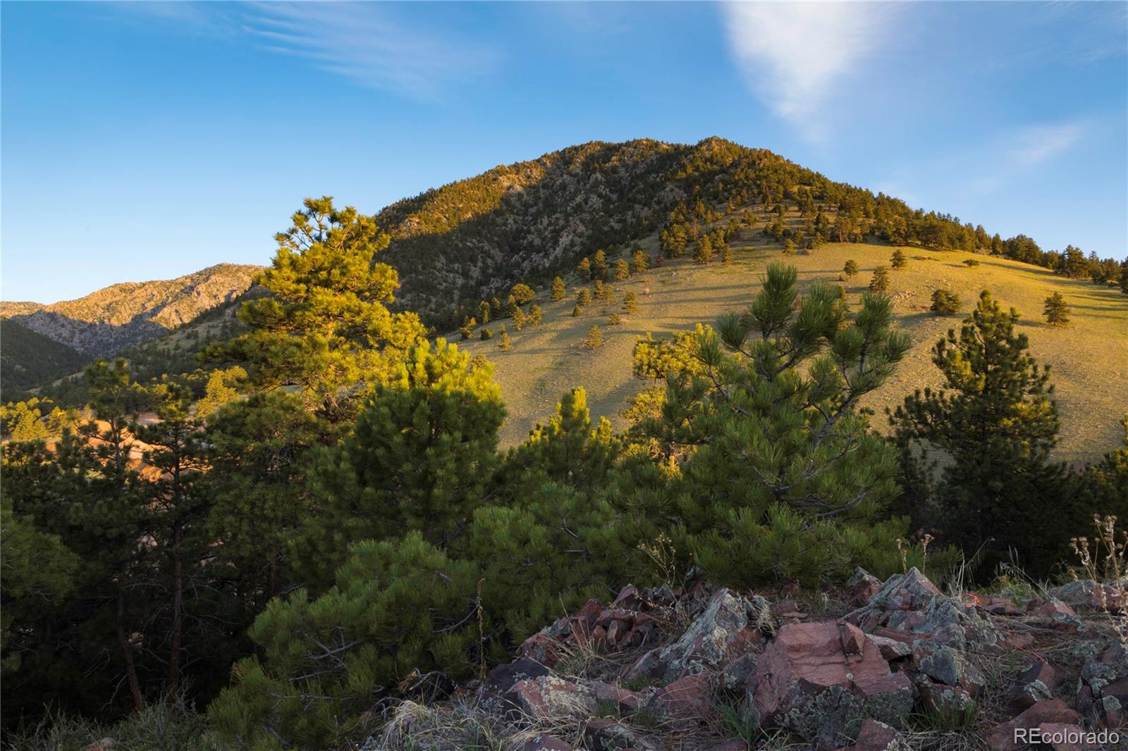 MLS Image #12 for 63  canyon pines drive,golden, Colorado