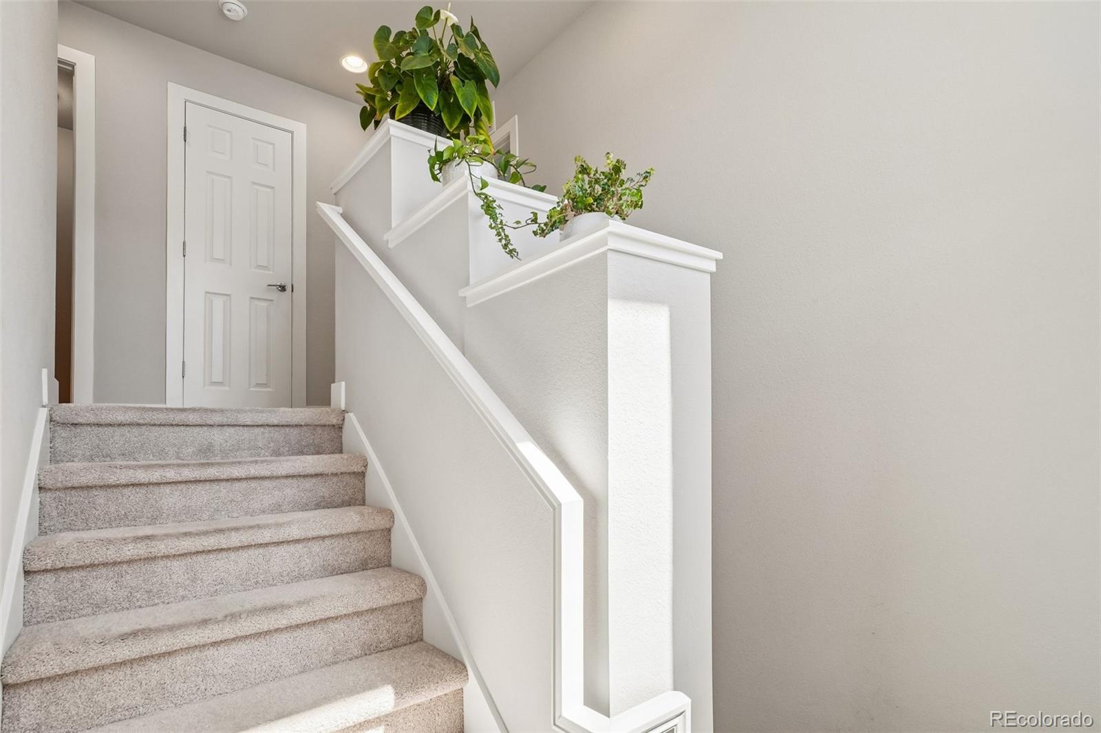 MLS Image #18 for 16021 e 47th place,denver, Colorado