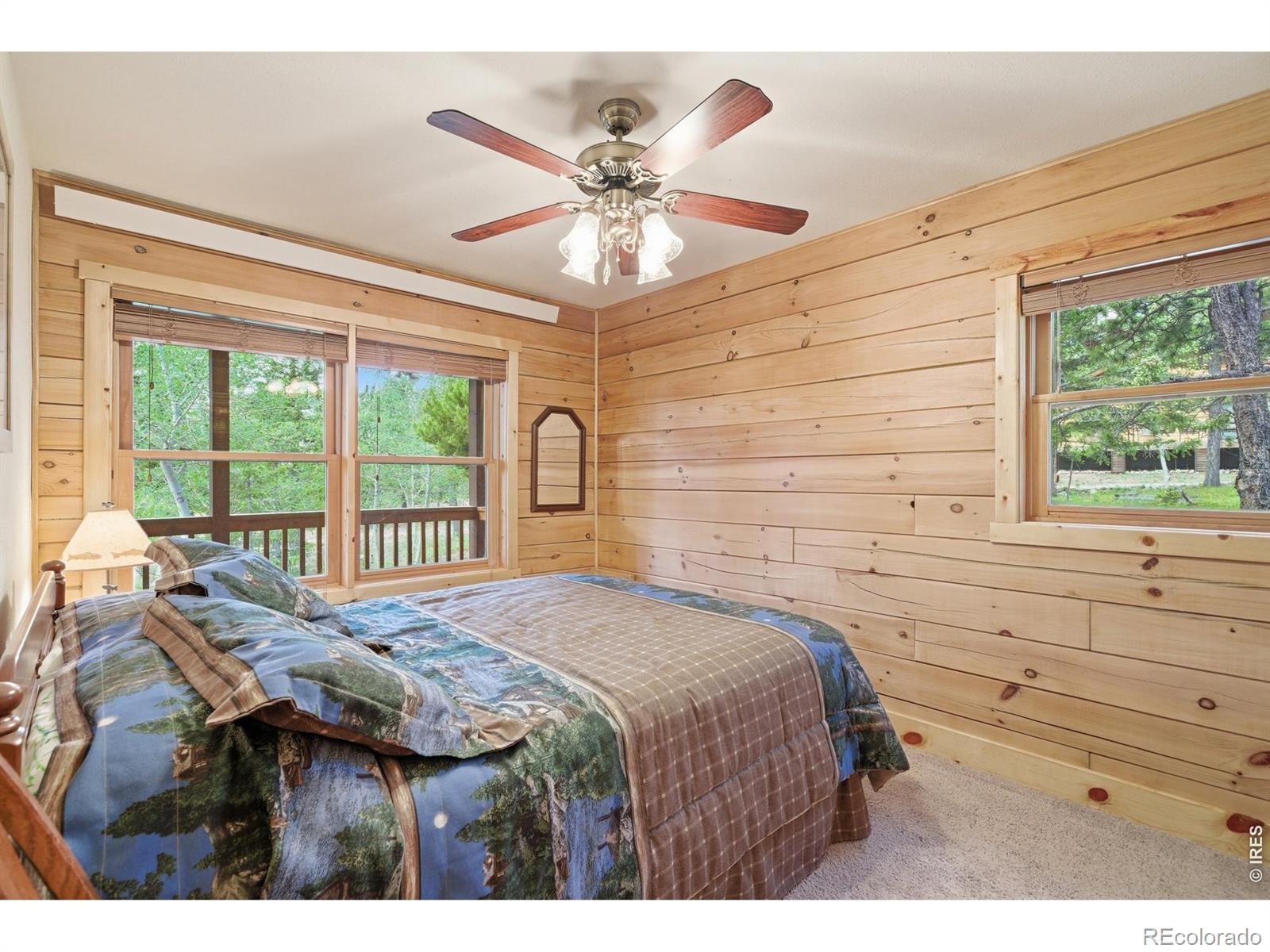 MLS Image #17 for 132  tonkawa drive,red feather lakes, Colorado