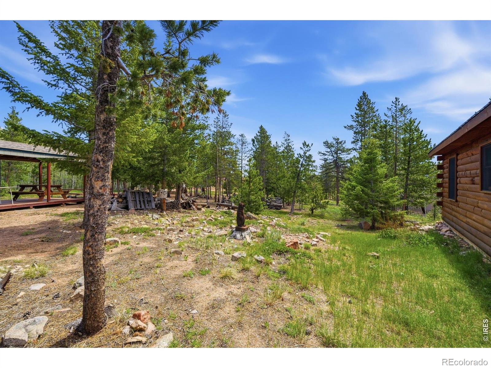 MLS Image #30 for 132  tonkawa drive,red feather lakes, Colorado