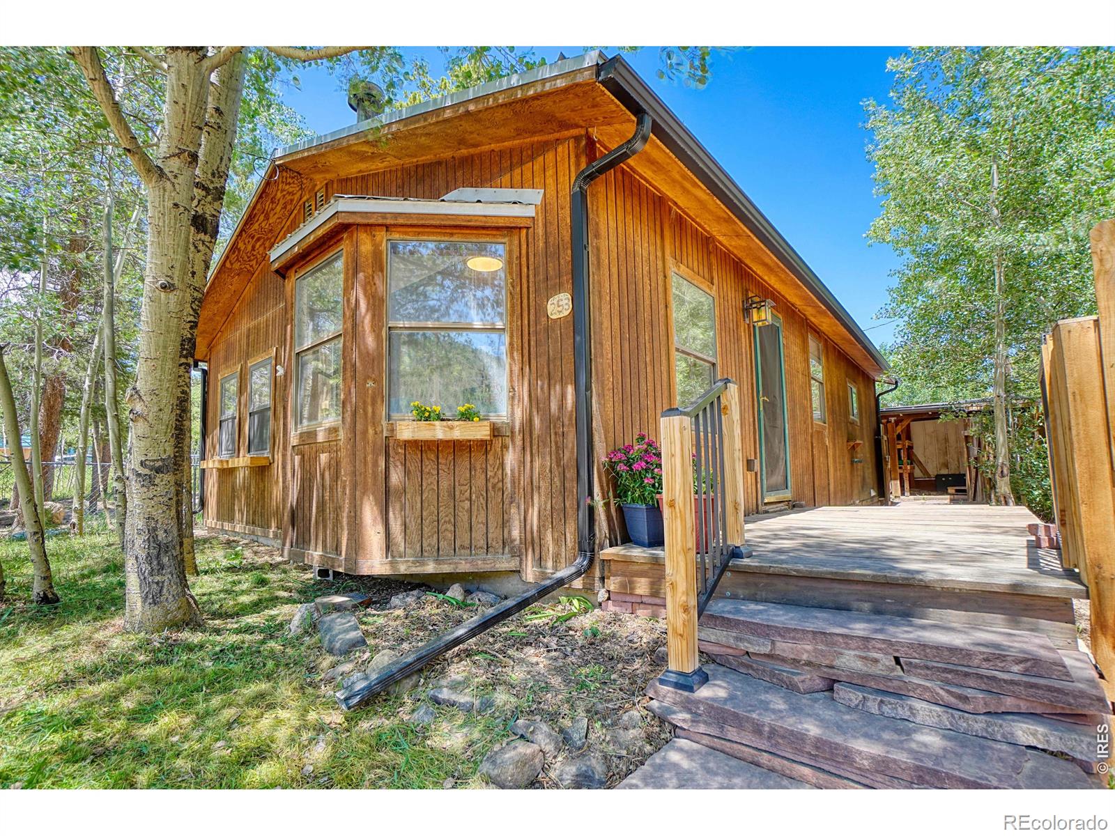 MLS Image #0 for 253 w breed street,nederland, Colorado