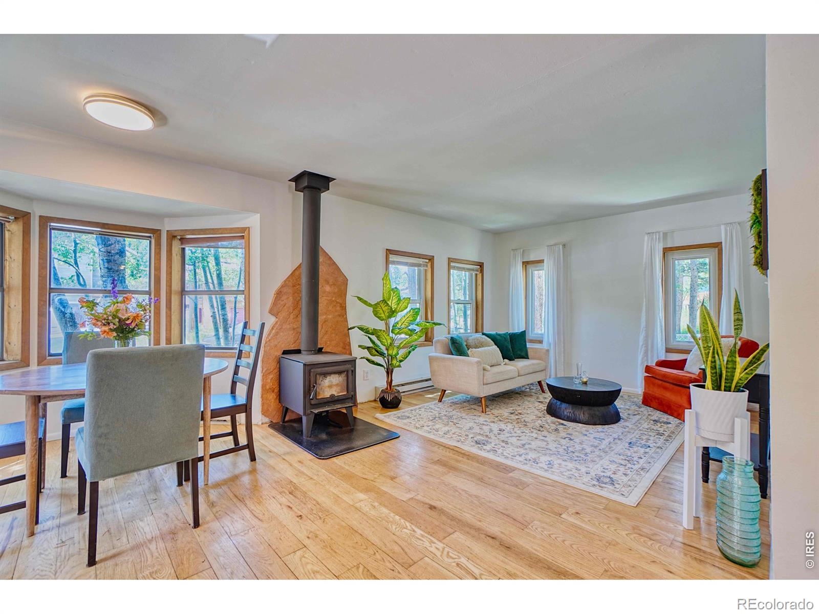 MLS Image #1 for 253 w breed street,nederland, Colorado
