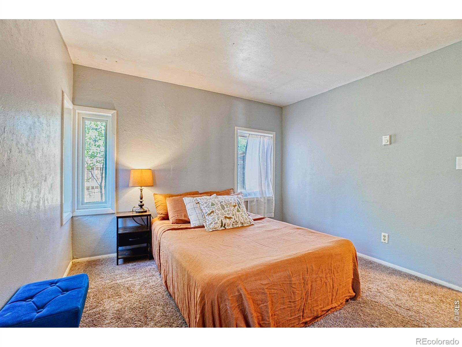 MLS Image #10 for 253 w breed street,nederland, Colorado