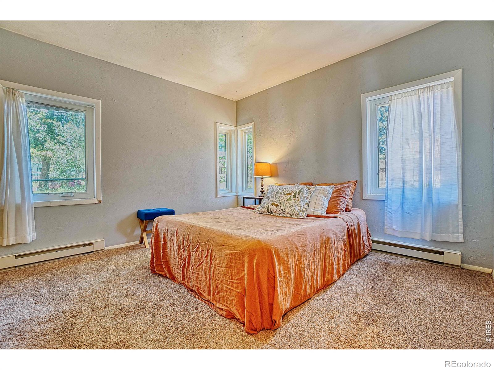 MLS Image #11 for 253 w breed street,nederland, Colorado