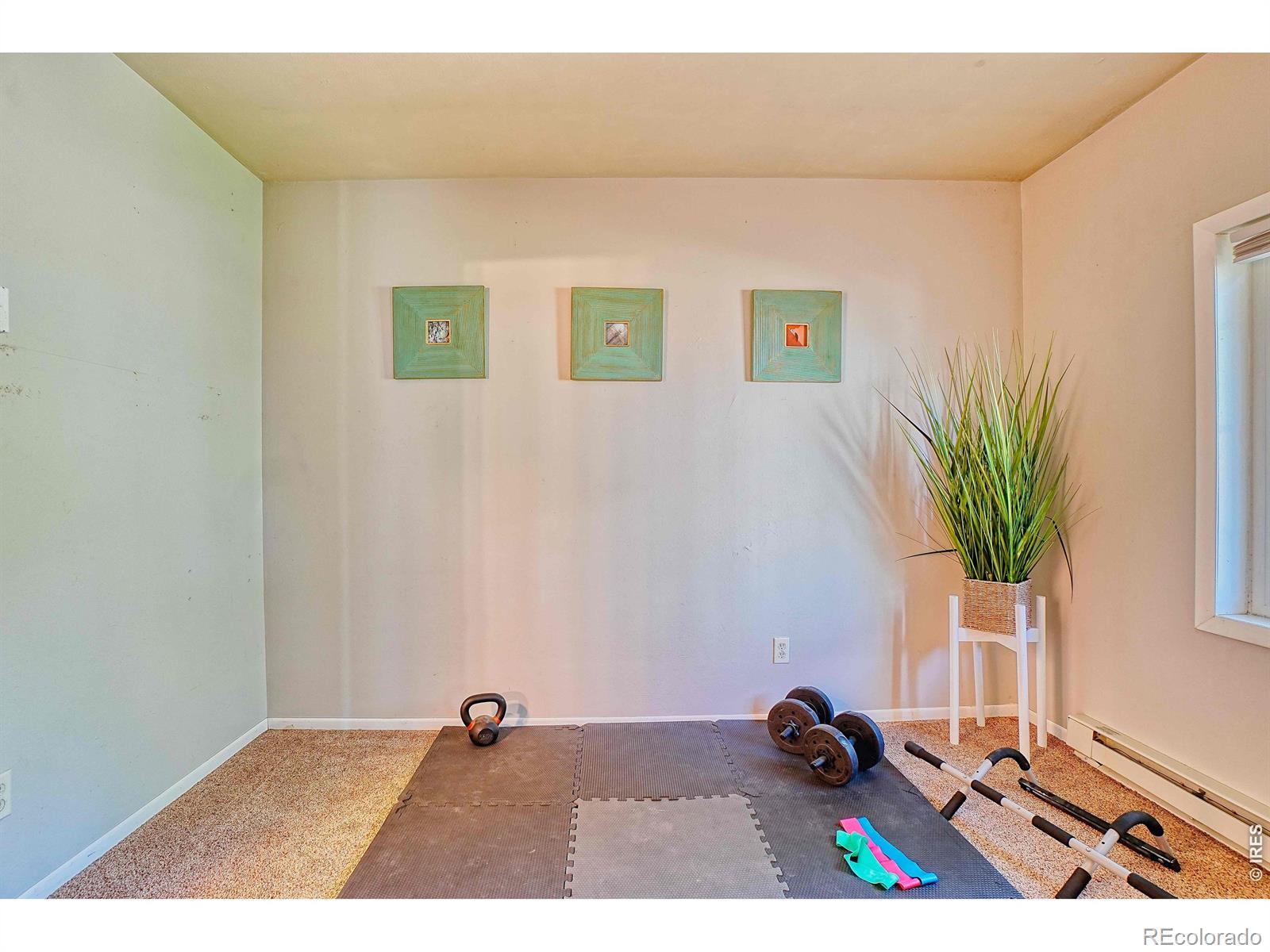 MLS Image #12 for 253 w breed street,nederland, Colorado
