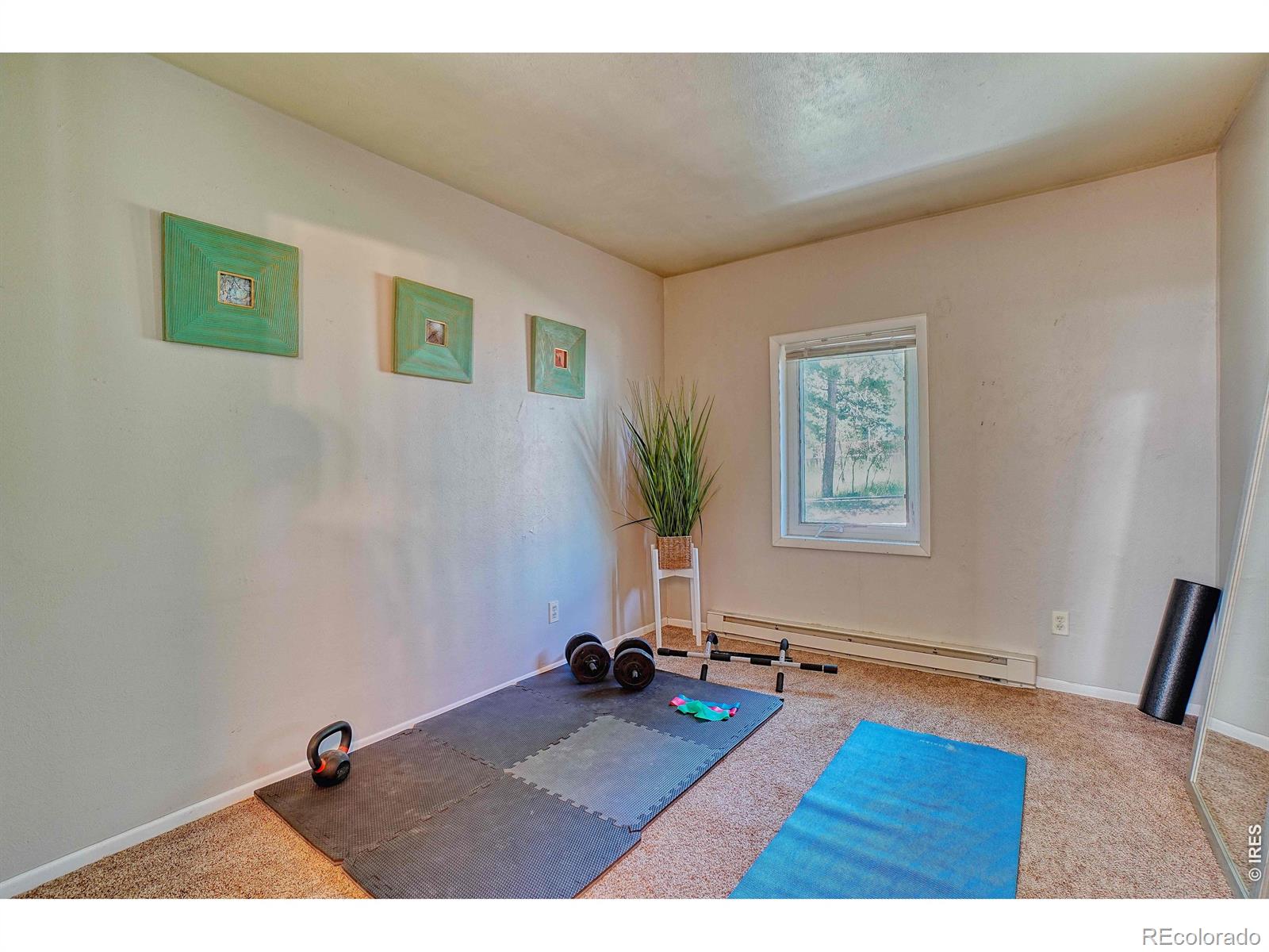 MLS Image #13 for 253 w breed street,nederland, Colorado