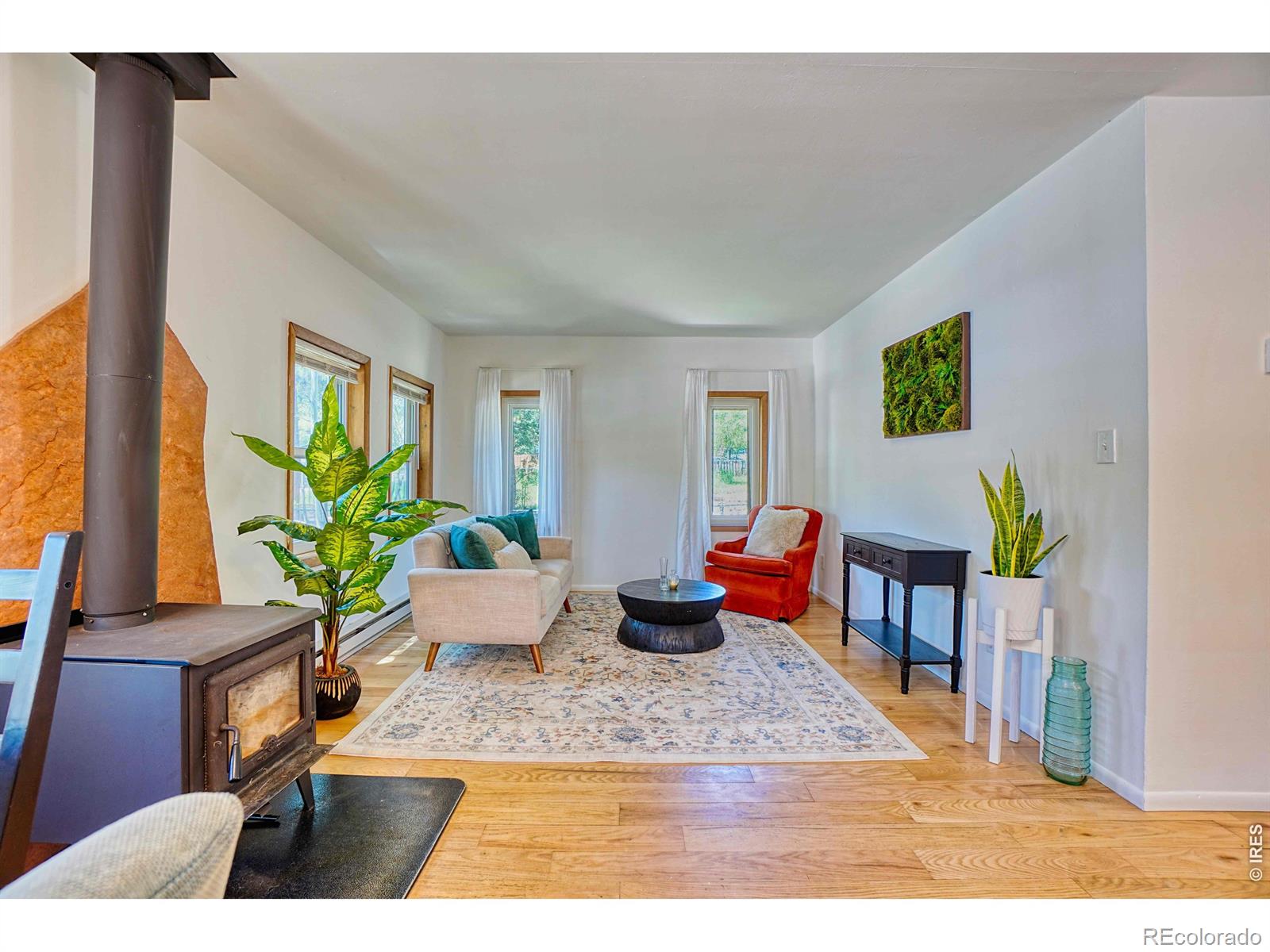 MLS Image #2 for 253 w breed street,nederland, Colorado