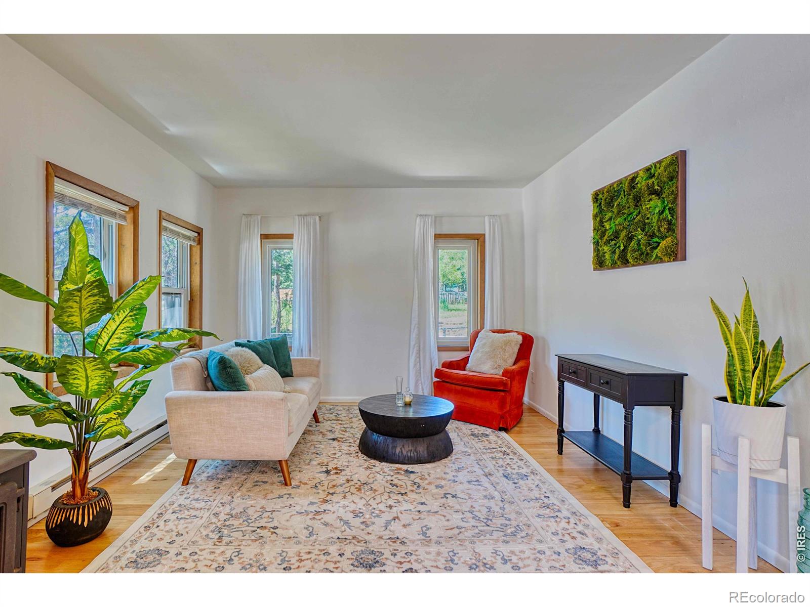 MLS Image #3 for 253 w breed street,nederland, Colorado