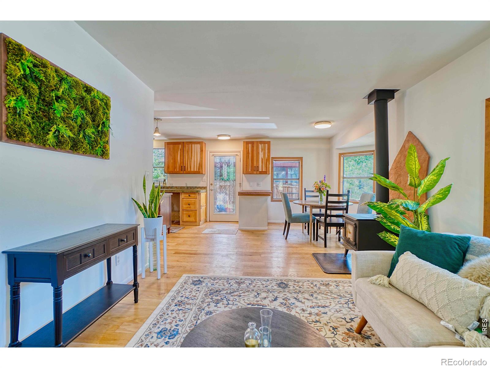 MLS Image #4 for 253 w breed street,nederland, Colorado