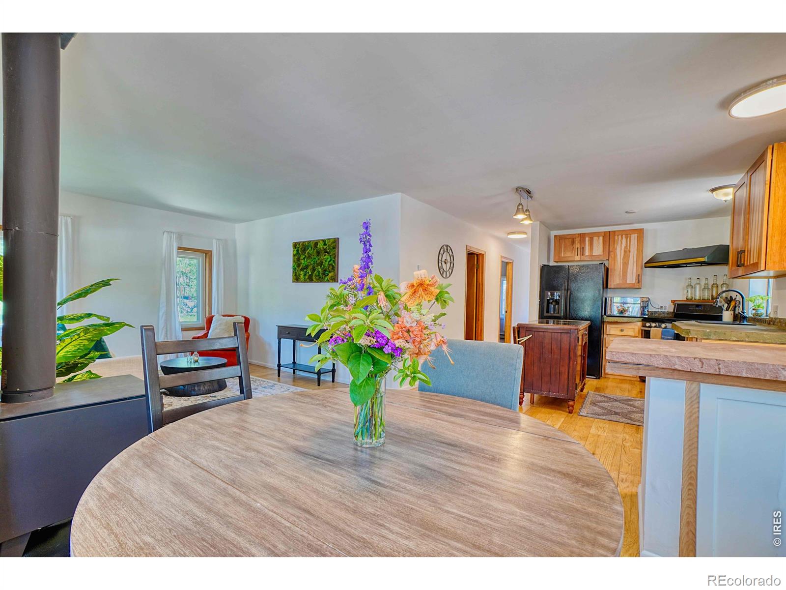 MLS Image #5 for 253 w breed street,nederland, Colorado