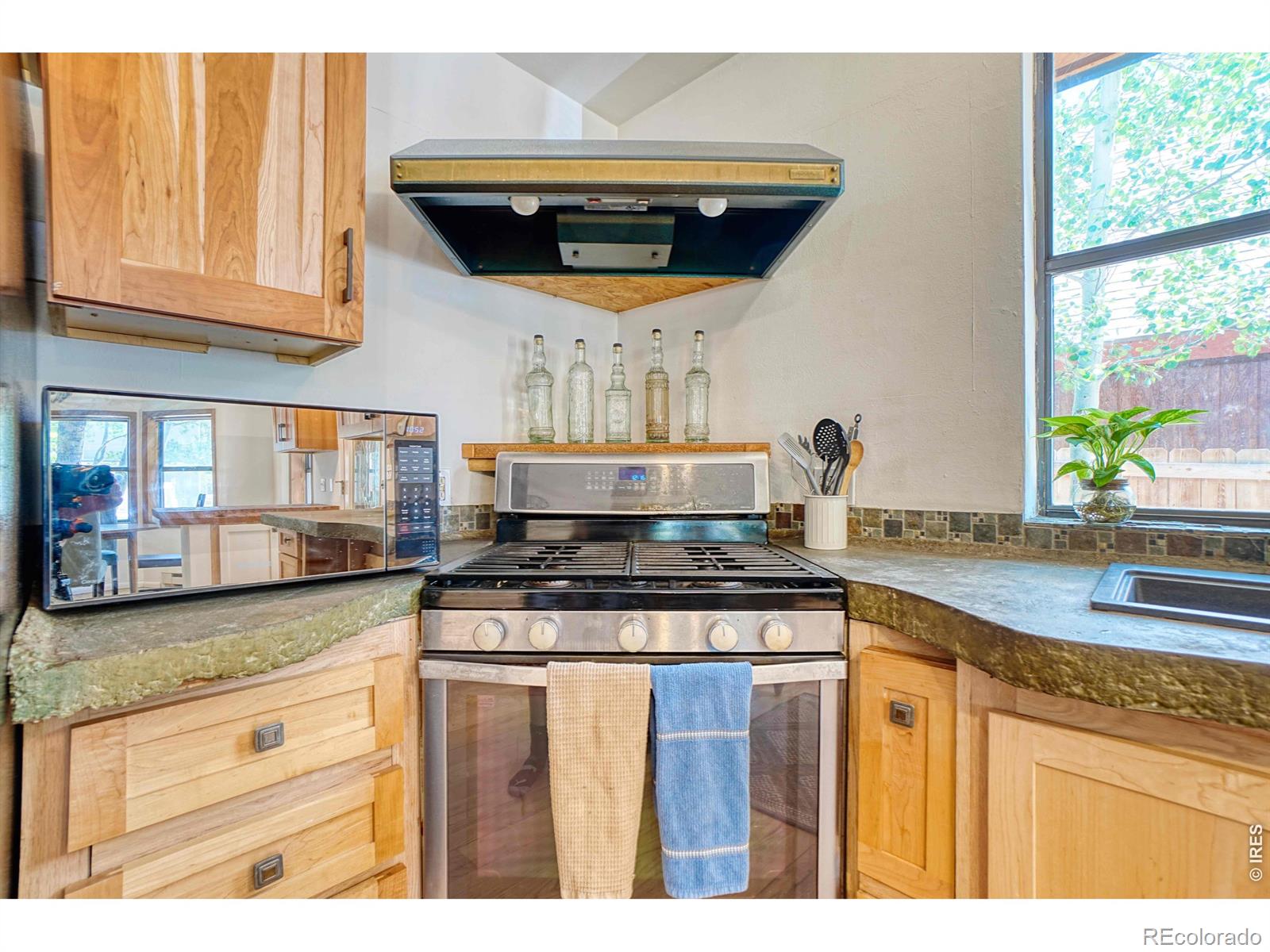 MLS Image #9 for 253 w breed street,nederland, Colorado
