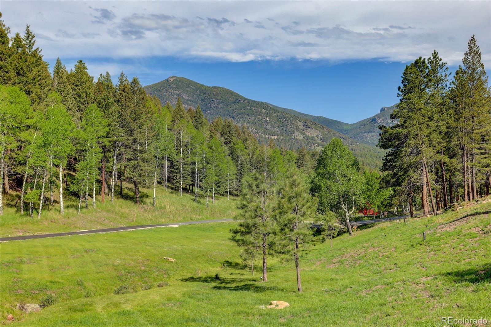 MLS Image #19 for 338  red lily place,evergreen, Colorado