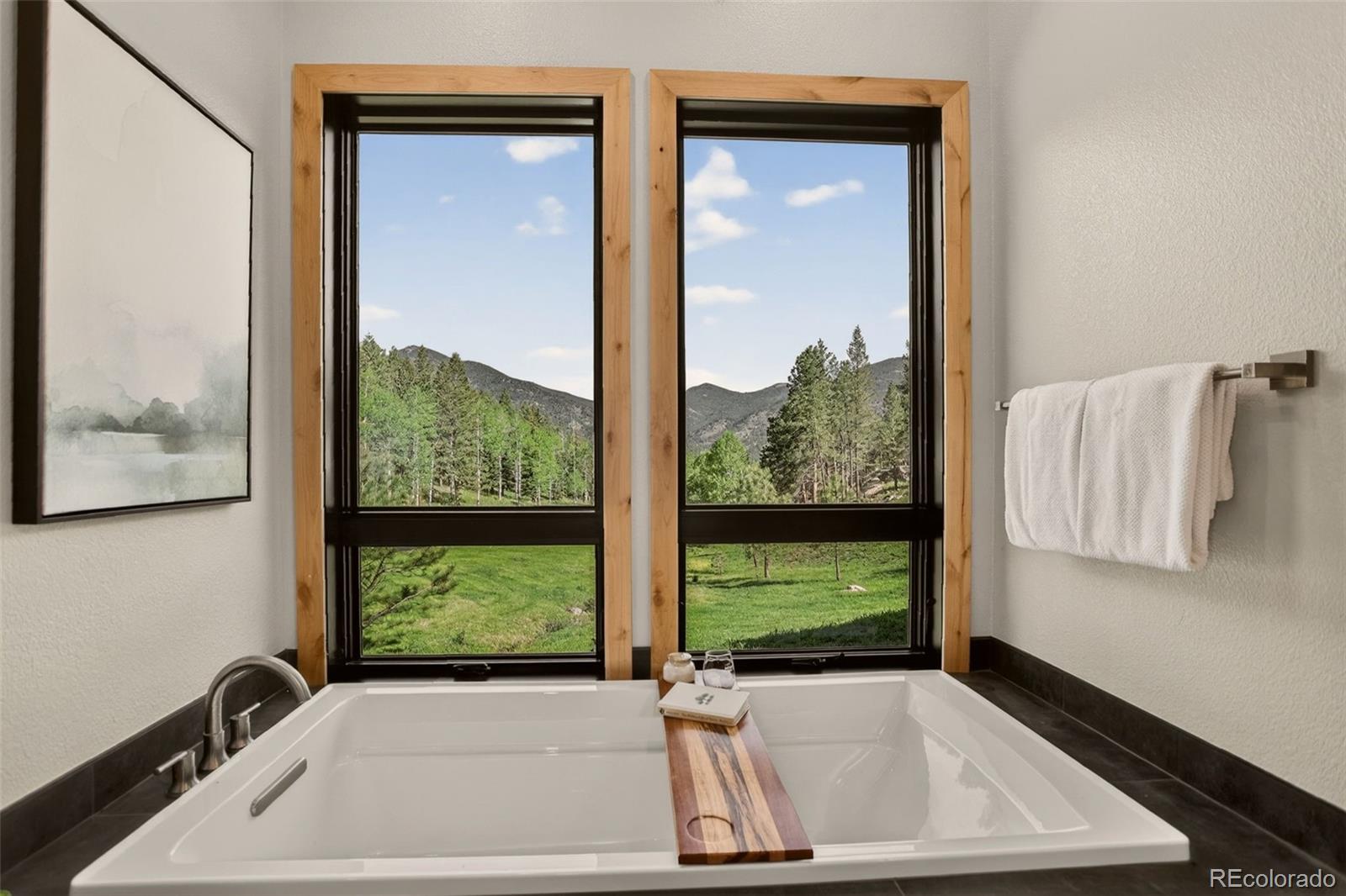 MLS Image #26 for 338  red lily place,evergreen, Colorado