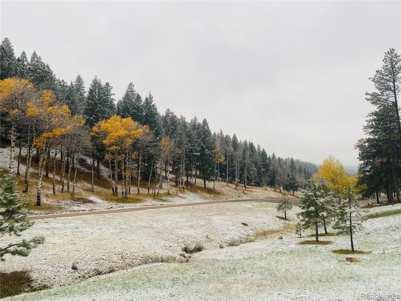 MLS Image #45 for 338  red lily place,evergreen, Colorado