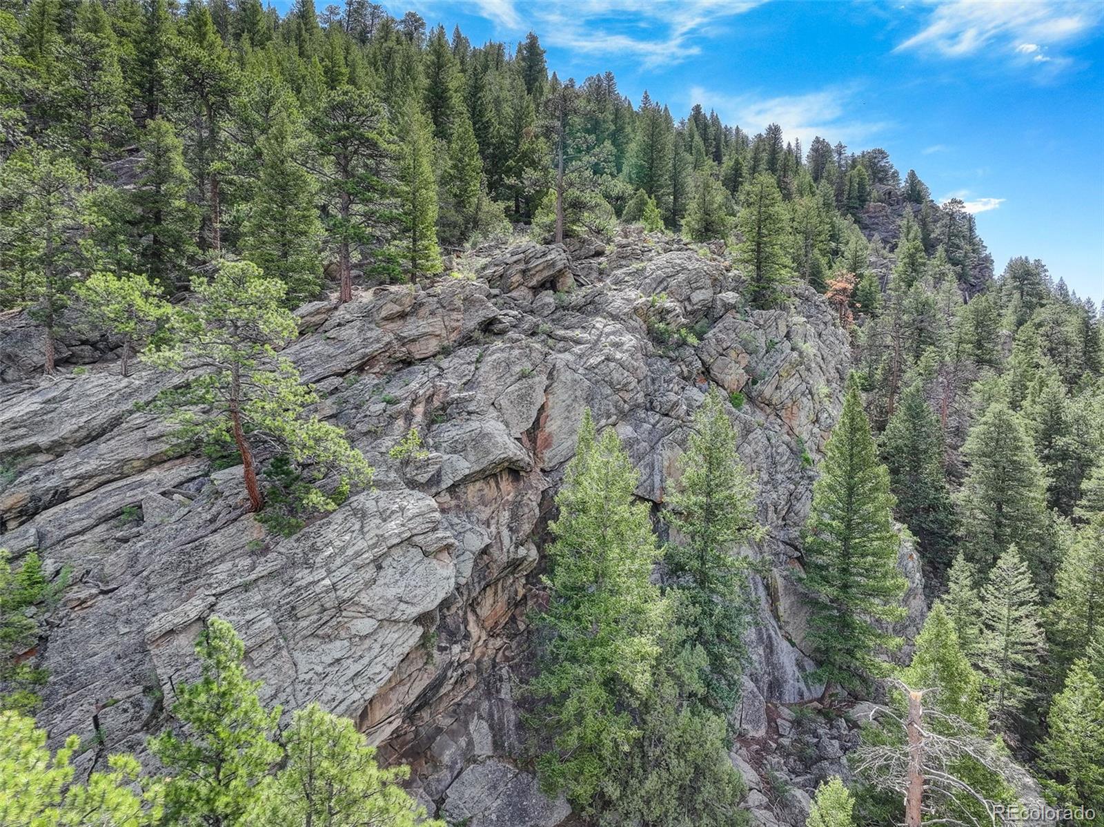 MLS Image #48 for 338  red lily place,evergreen, Colorado