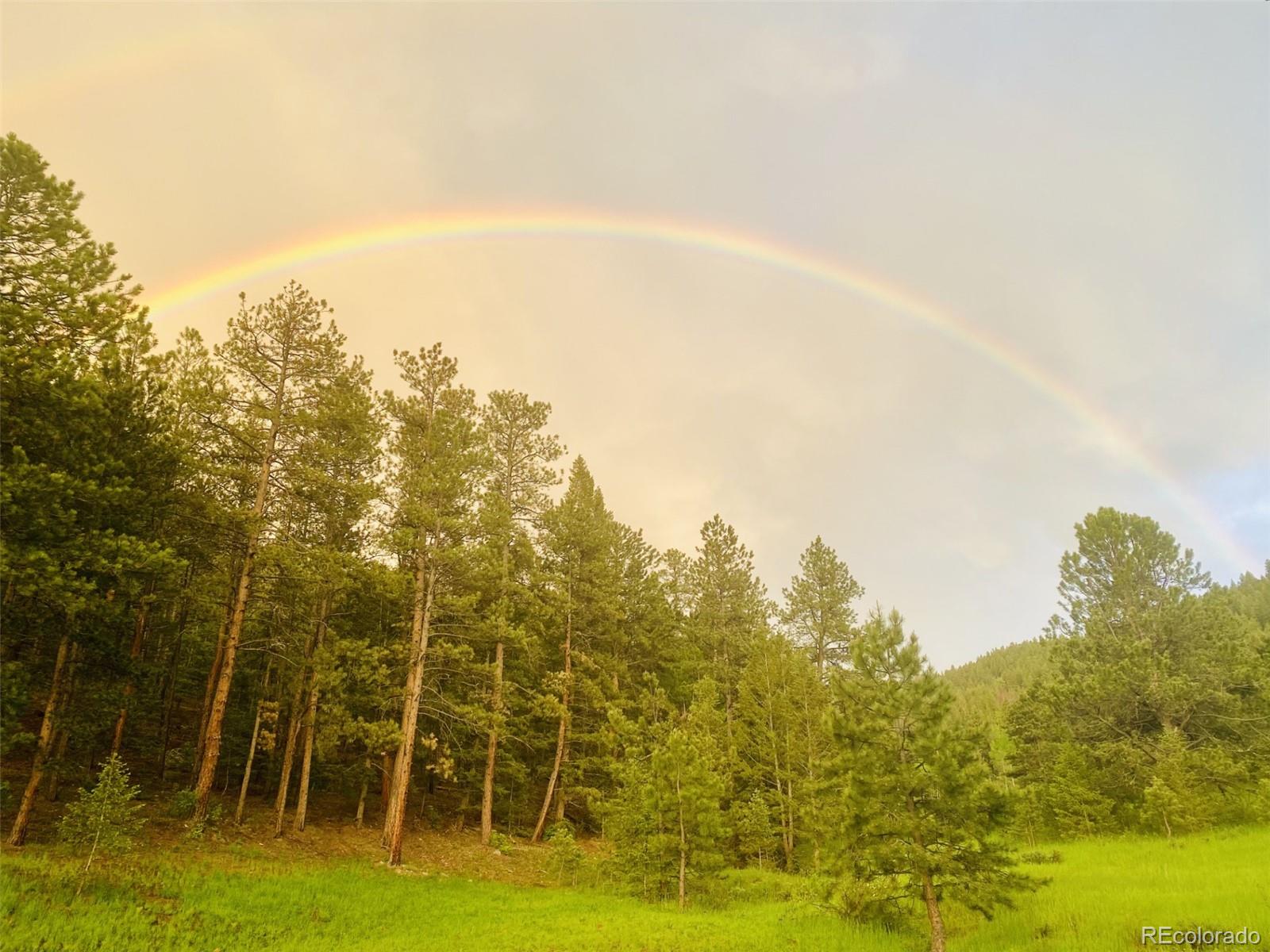 MLS Image #49 for 338  red lily place,evergreen, Colorado