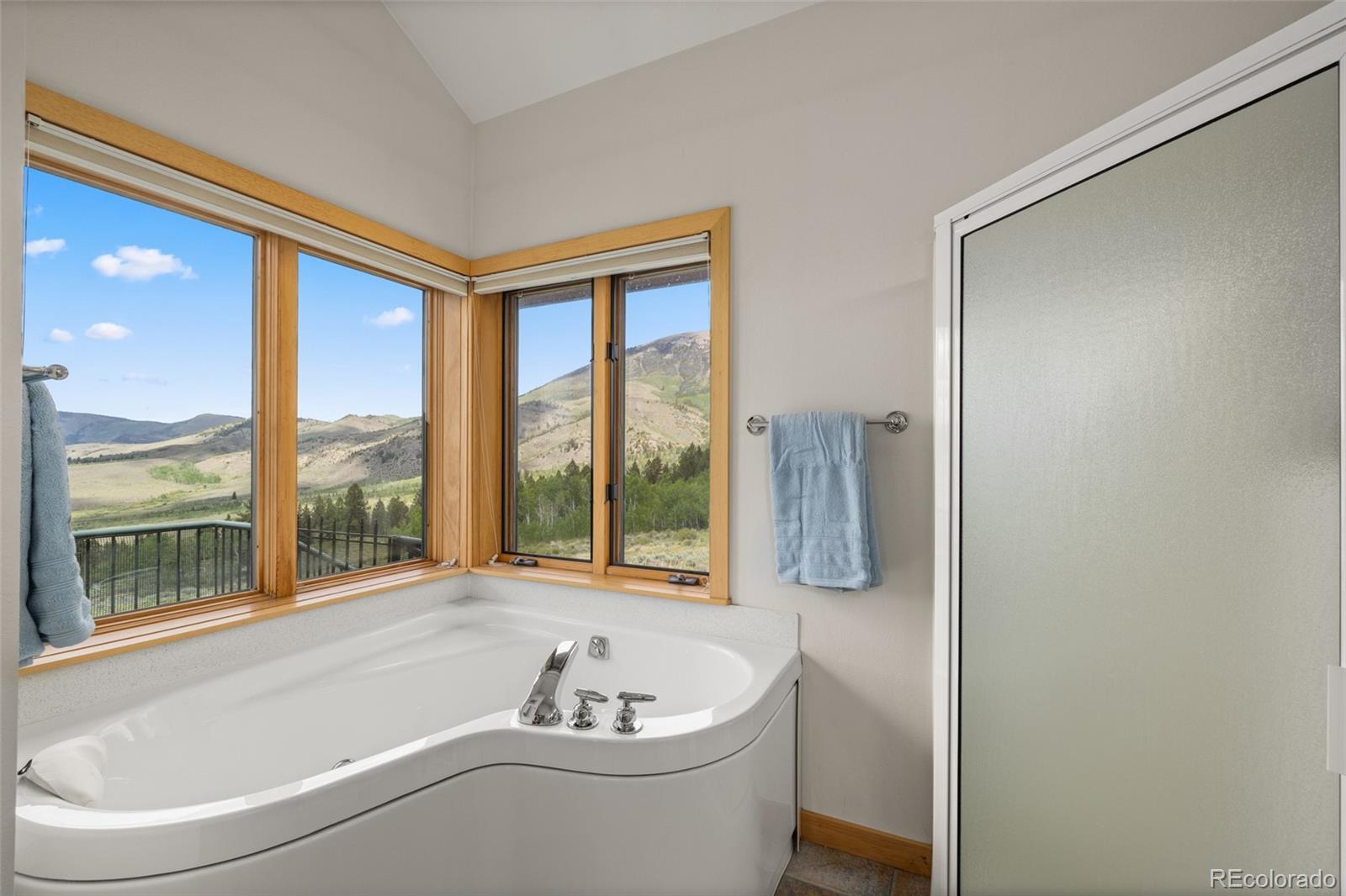 MLS Image #23 for 189  arrowhead bluff road,silverthorne, Colorado