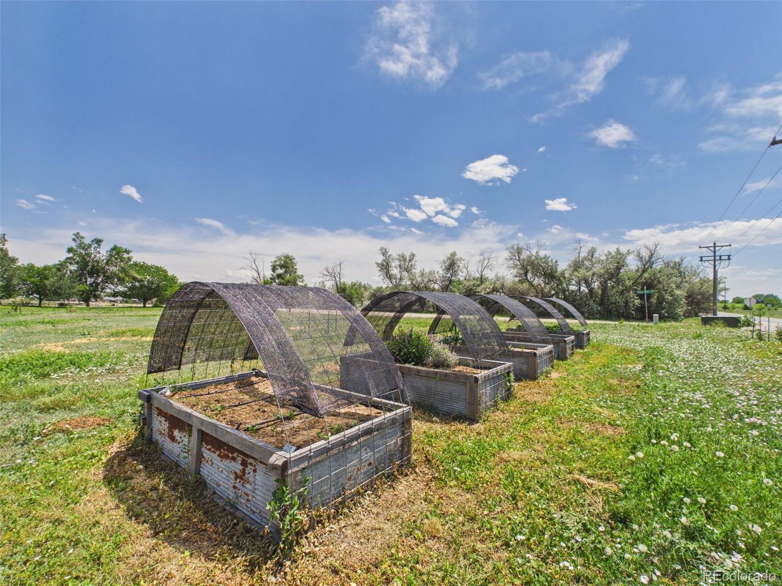 MLS Image #26 for 8042  silver birch boulevard,frederick, Colorado