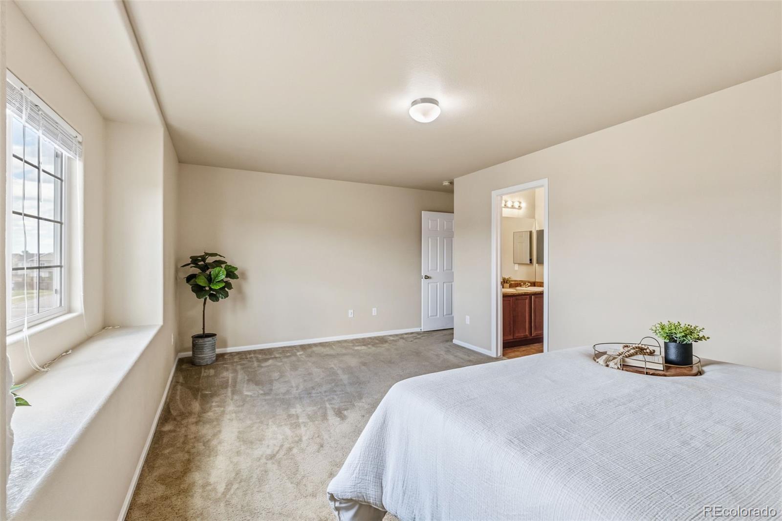 MLS Image #18 for 6973  sierra meadows drive,colorado springs, Colorado