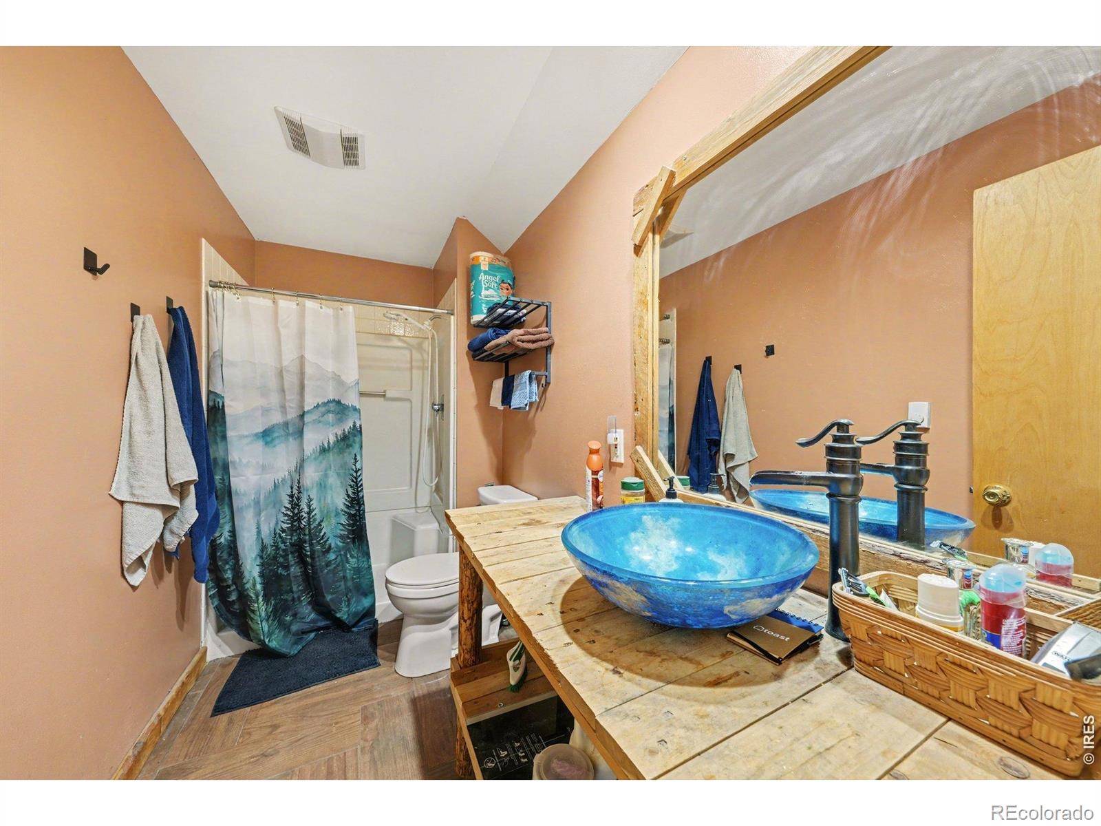 MLS Image #18 for 319  springmeadow way,red feather lakes, Colorado