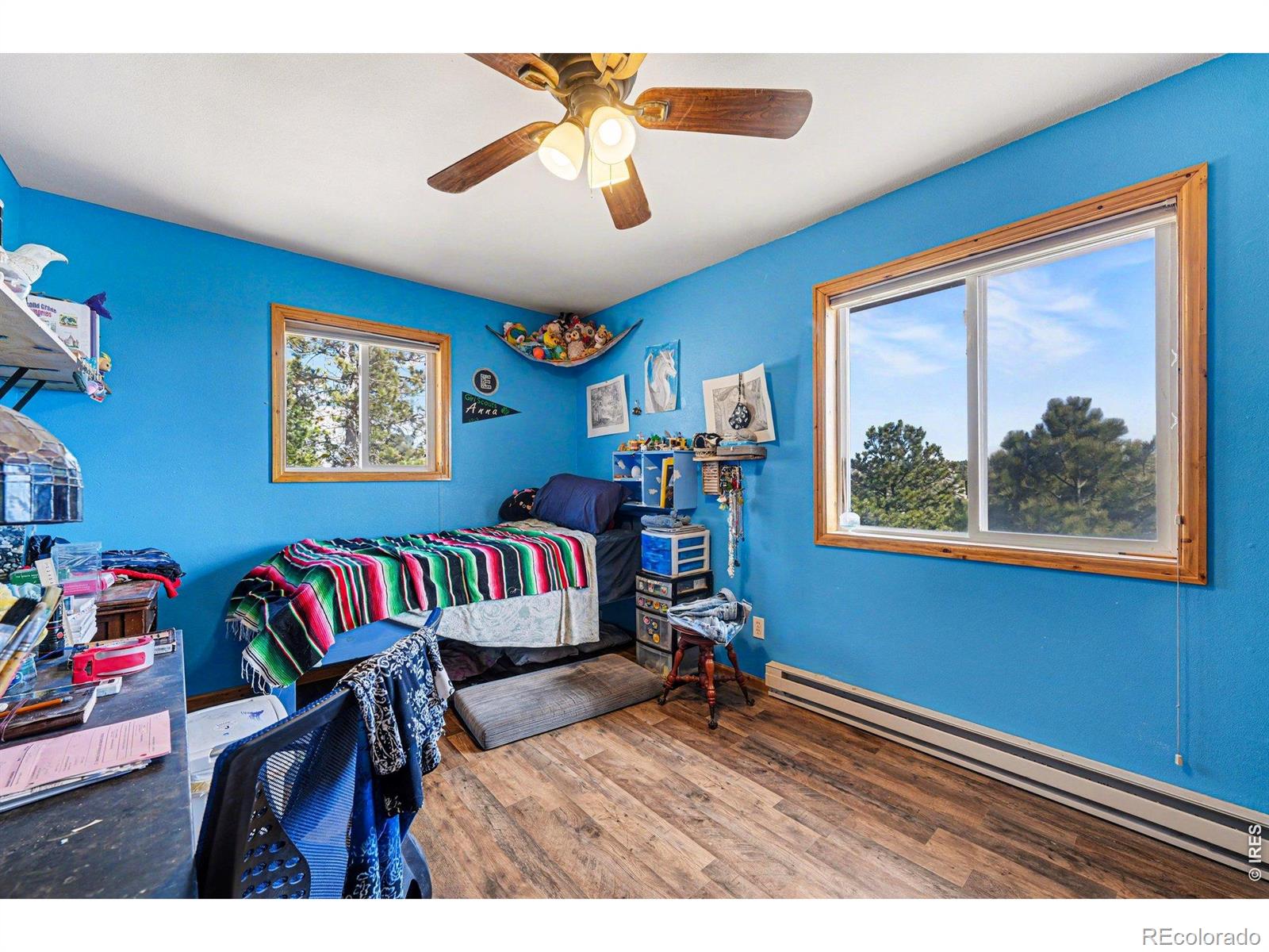 MLS Image #8 for 319  springmeadow way,red feather lakes, Colorado
