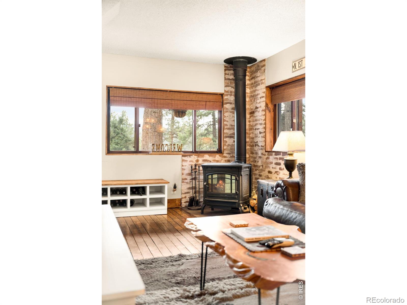 MLS Image #11 for 257  lo meadow lane,bailey, Colorado