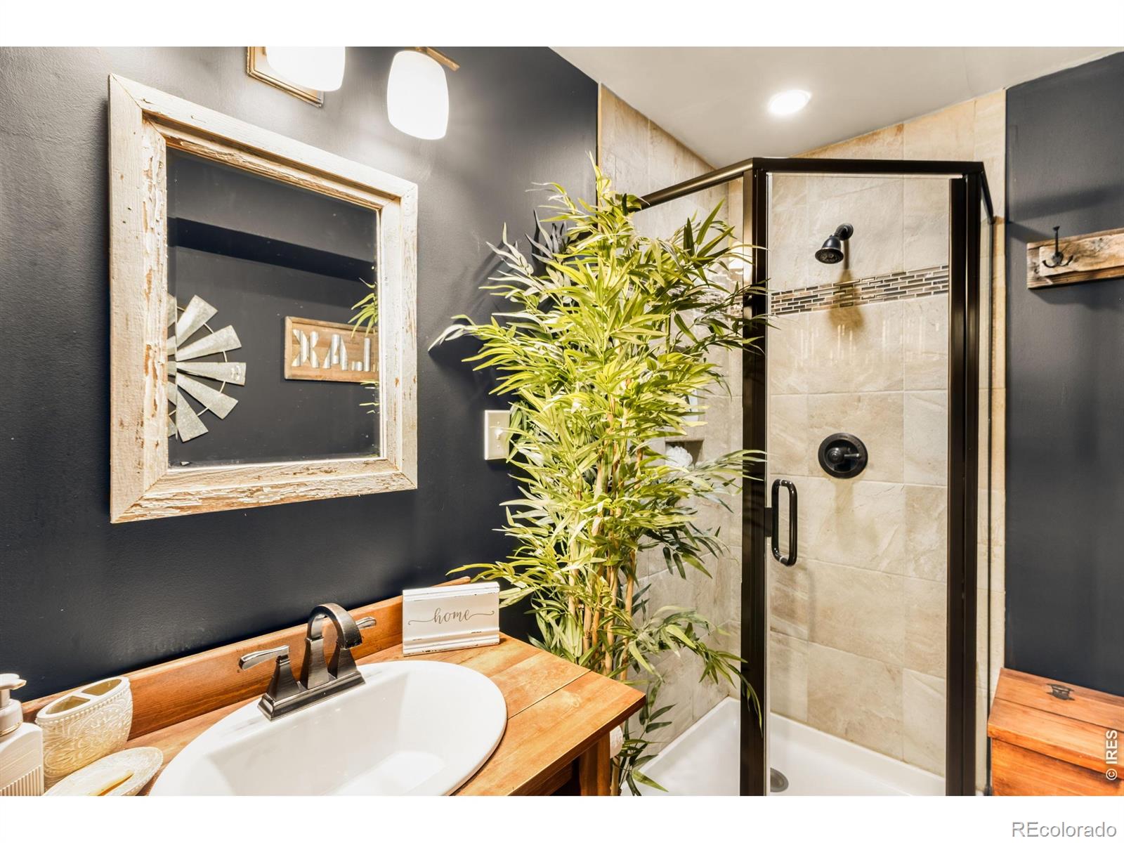 MLS Image #14 for 257  lo meadow lane,bailey, Colorado
