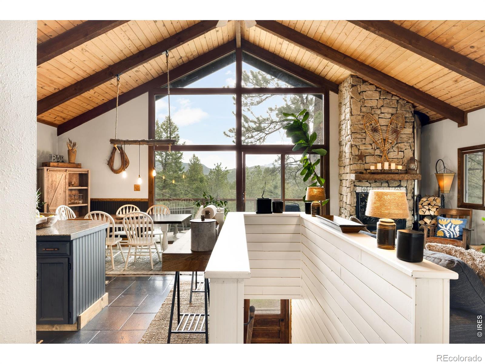MLS Image #17 for 257  lo meadow lane,bailey, Colorado