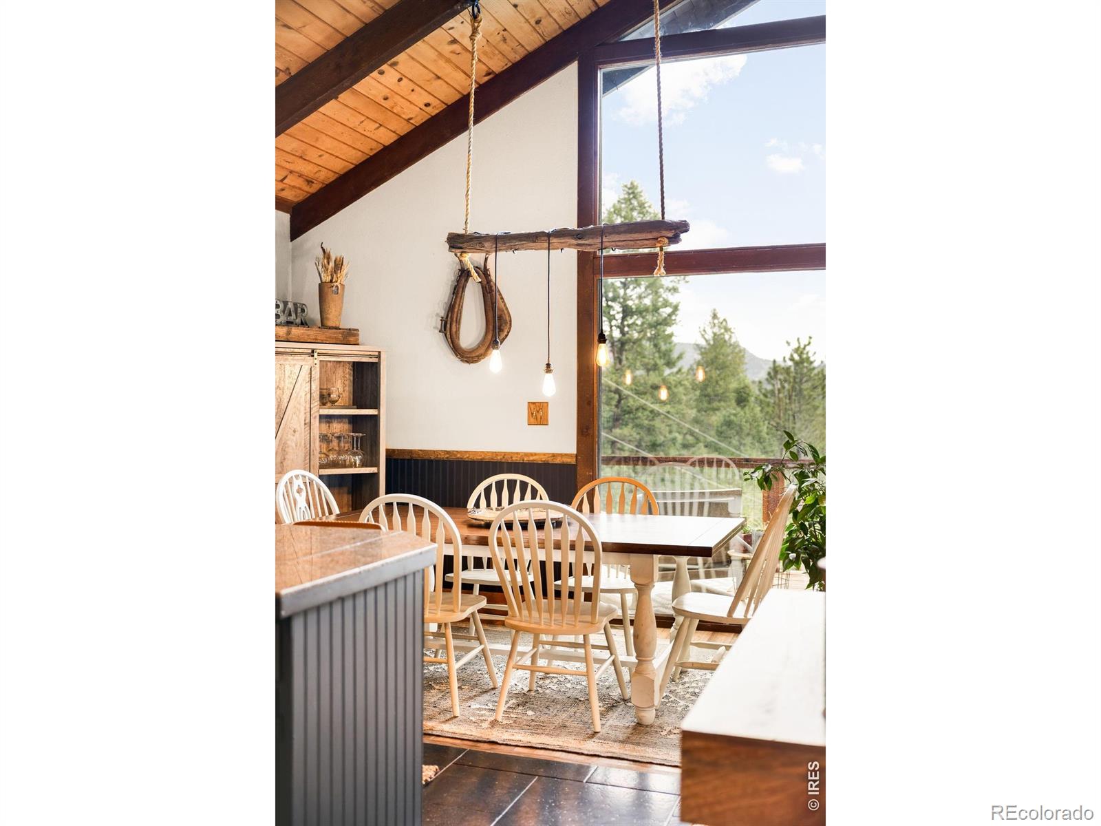 MLS Image #18 for 257  lo meadow lane,bailey, Colorado