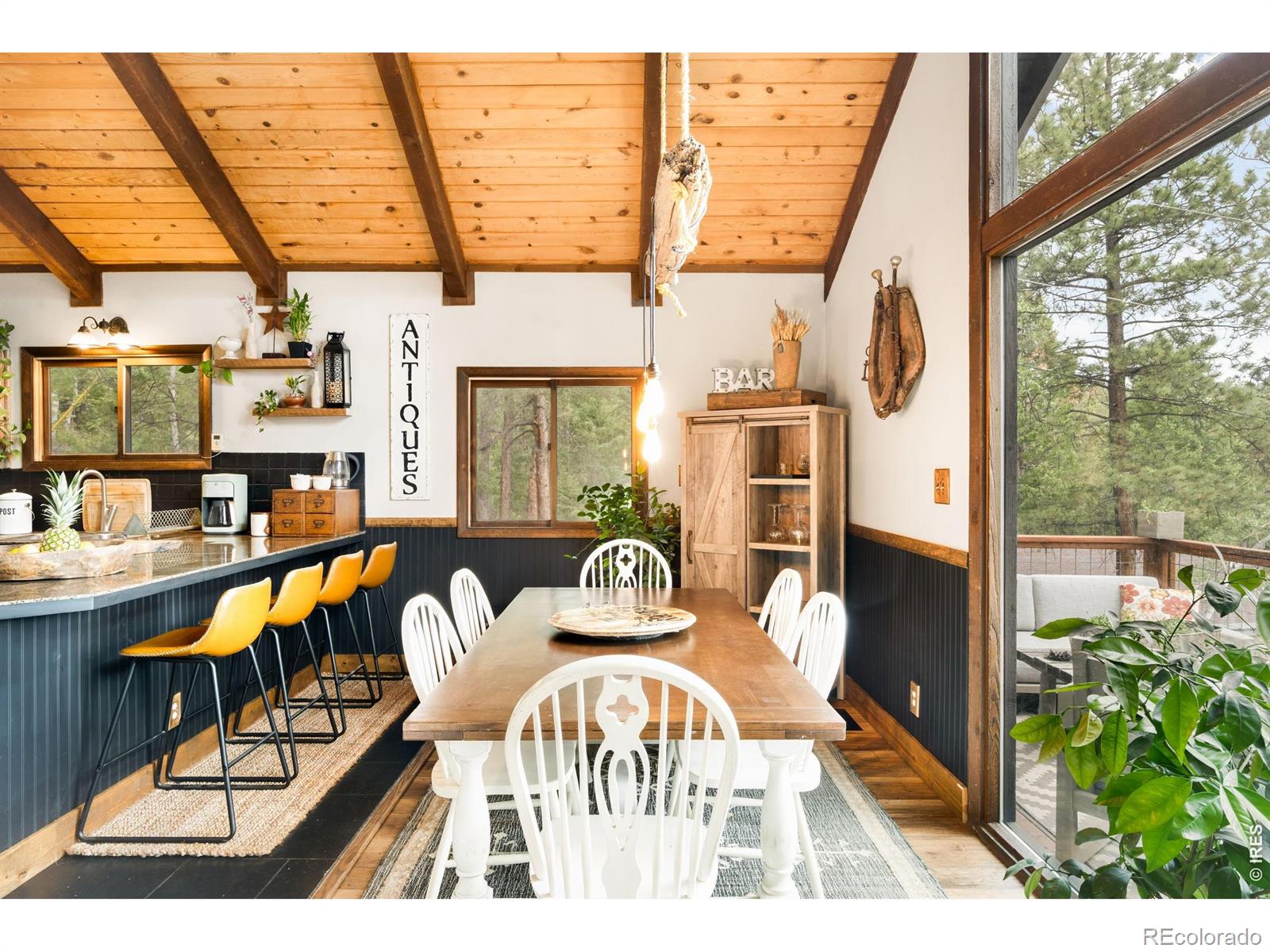MLS Image #20 for 257  lo meadow lane,bailey, Colorado