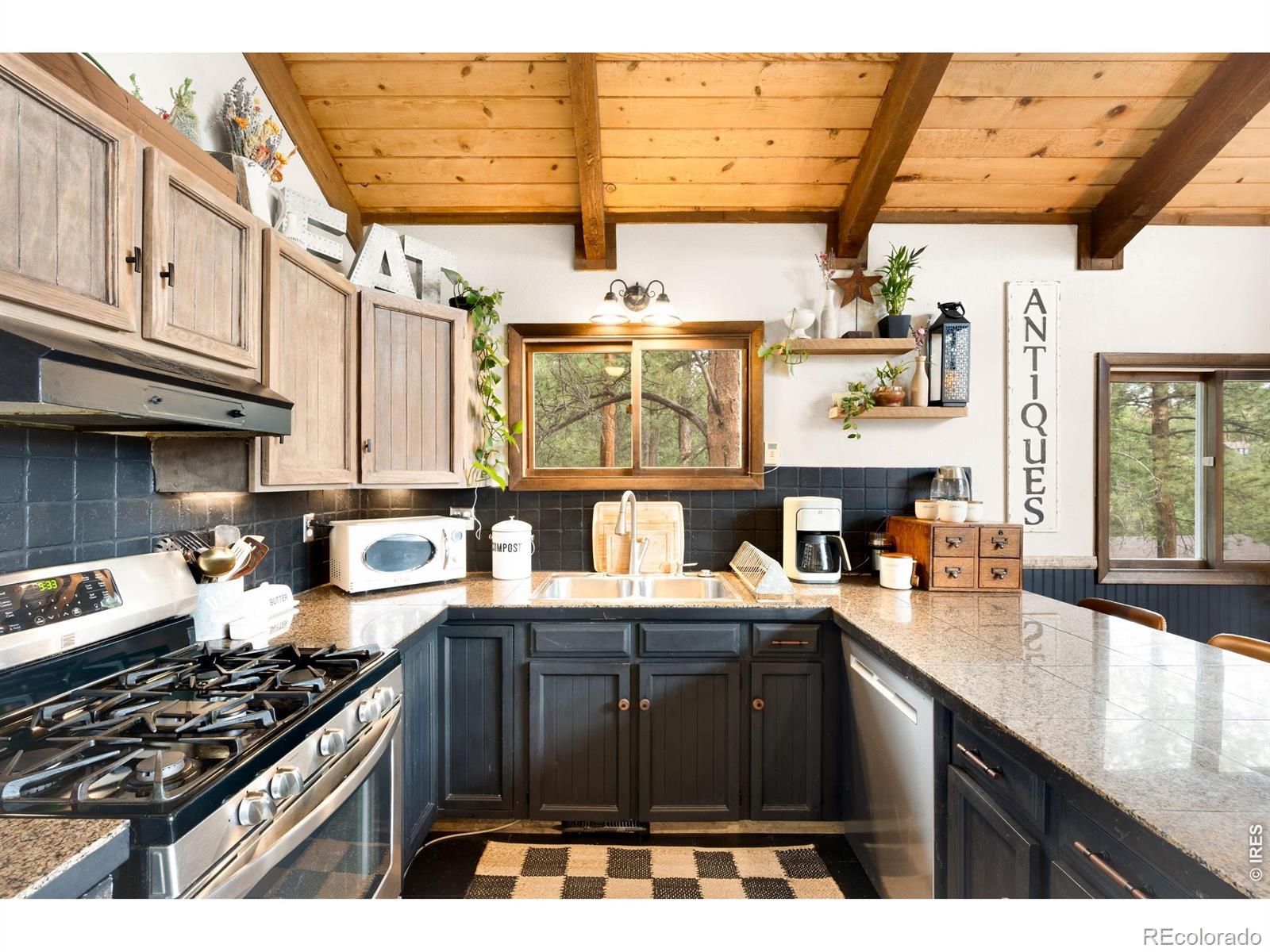 MLS Image #23 for 257  lo meadow lane,bailey, Colorado