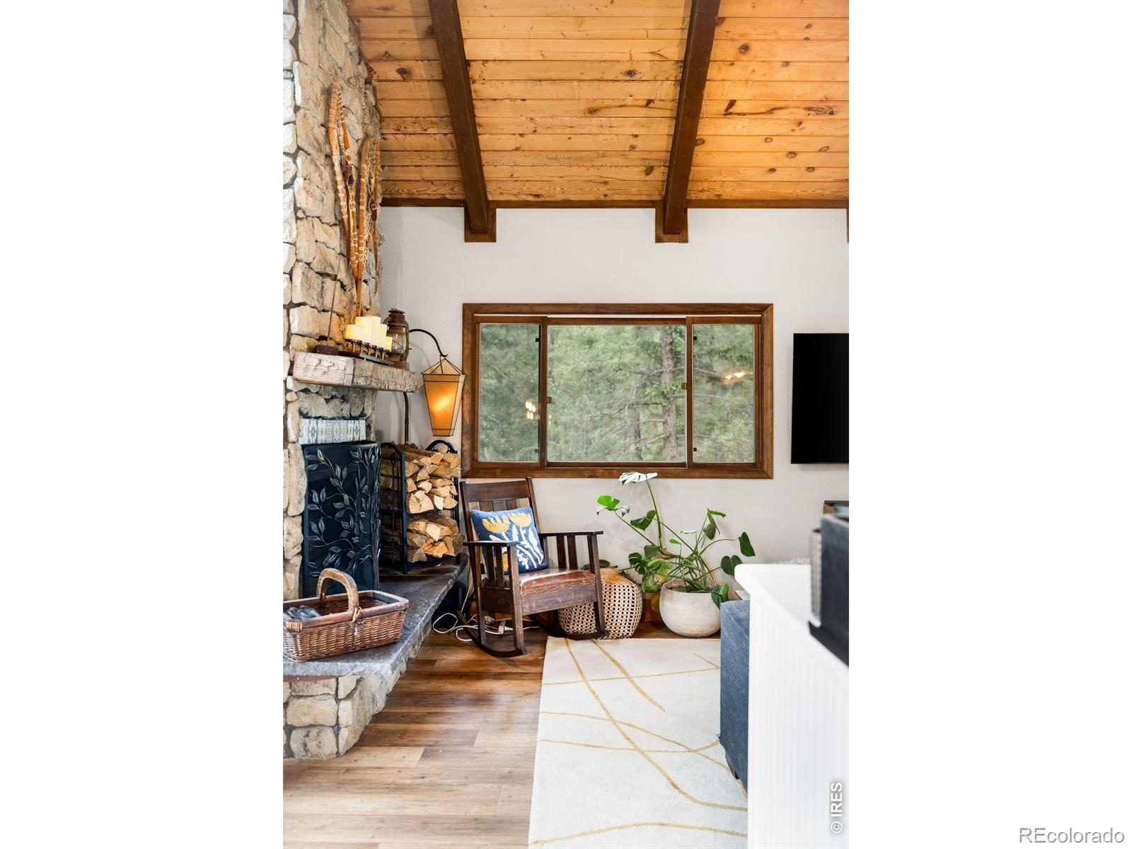 MLS Image #24 for 257  lo meadow lane,bailey, Colorado